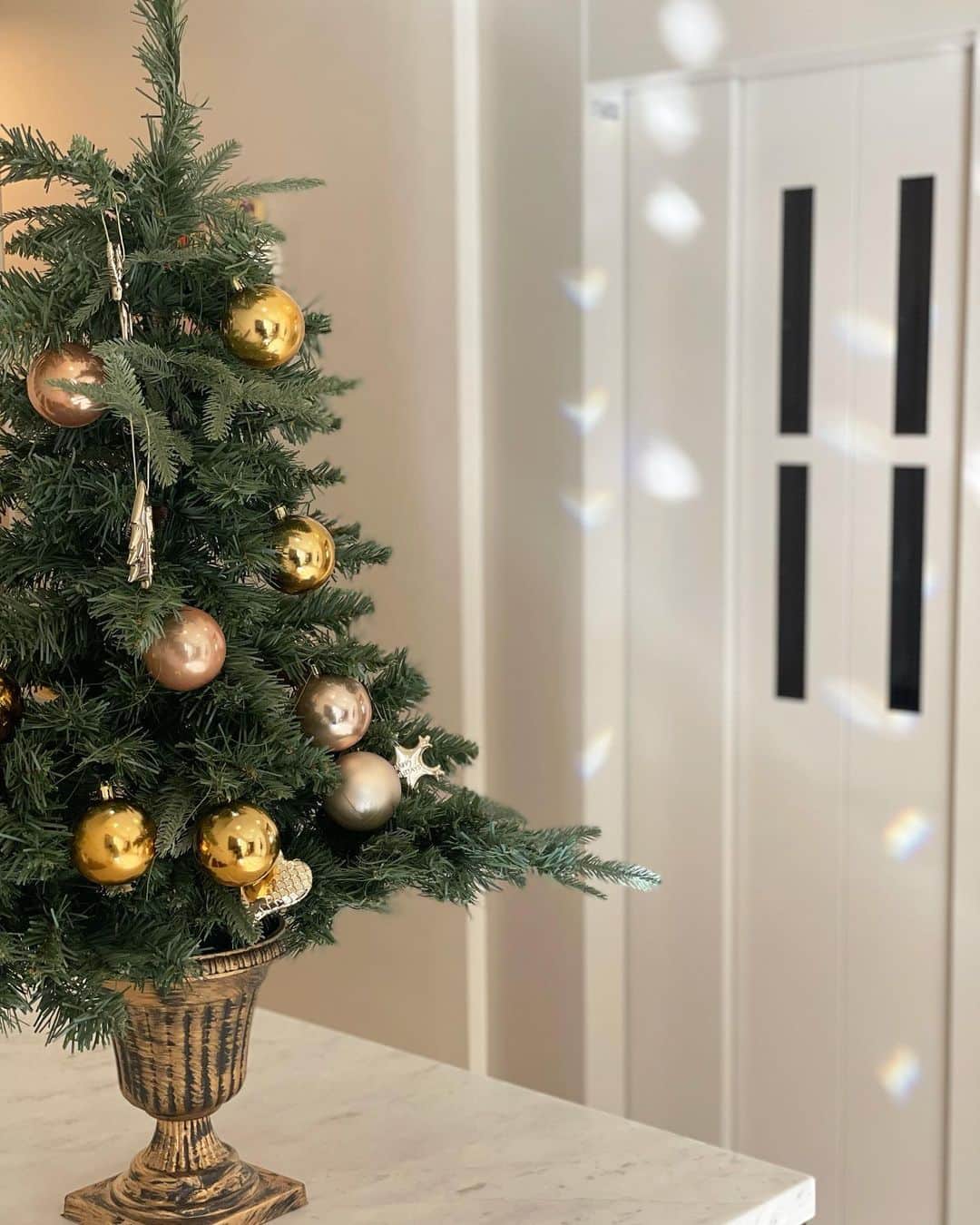 田中麻衣のインスタグラム：「玄関には、卓上ツリー🎄  オーナメントはシンプルに。✨  #クリスマスツリー」