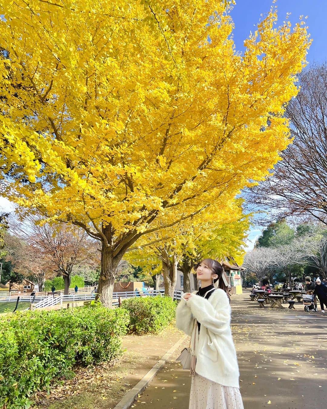 門林有羽のインスタグラム：「. . 思い出投下~~~！ 駆け込みで秋を満喫した🍁 みんなは紅葉観れた？？？」