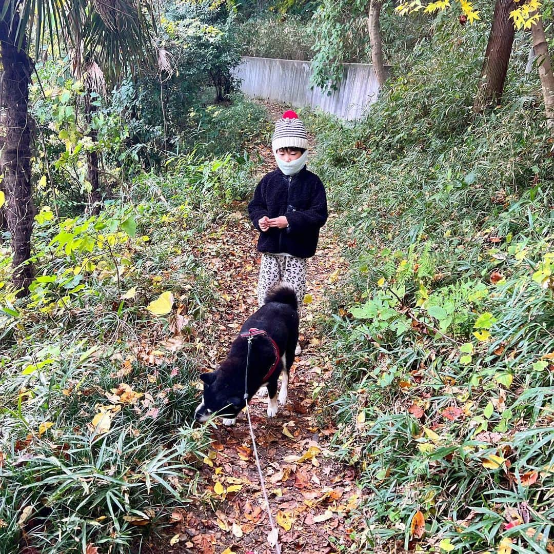 小川博永さんのインスタグラム写真 - (小川博永Instagram)「息子くんがついてきた。  #ししまる爺さん  #今朝まる #ししまる #dog #dogs #柴犬 #黒柴」11月25日 10時17分 - ogawahironaga