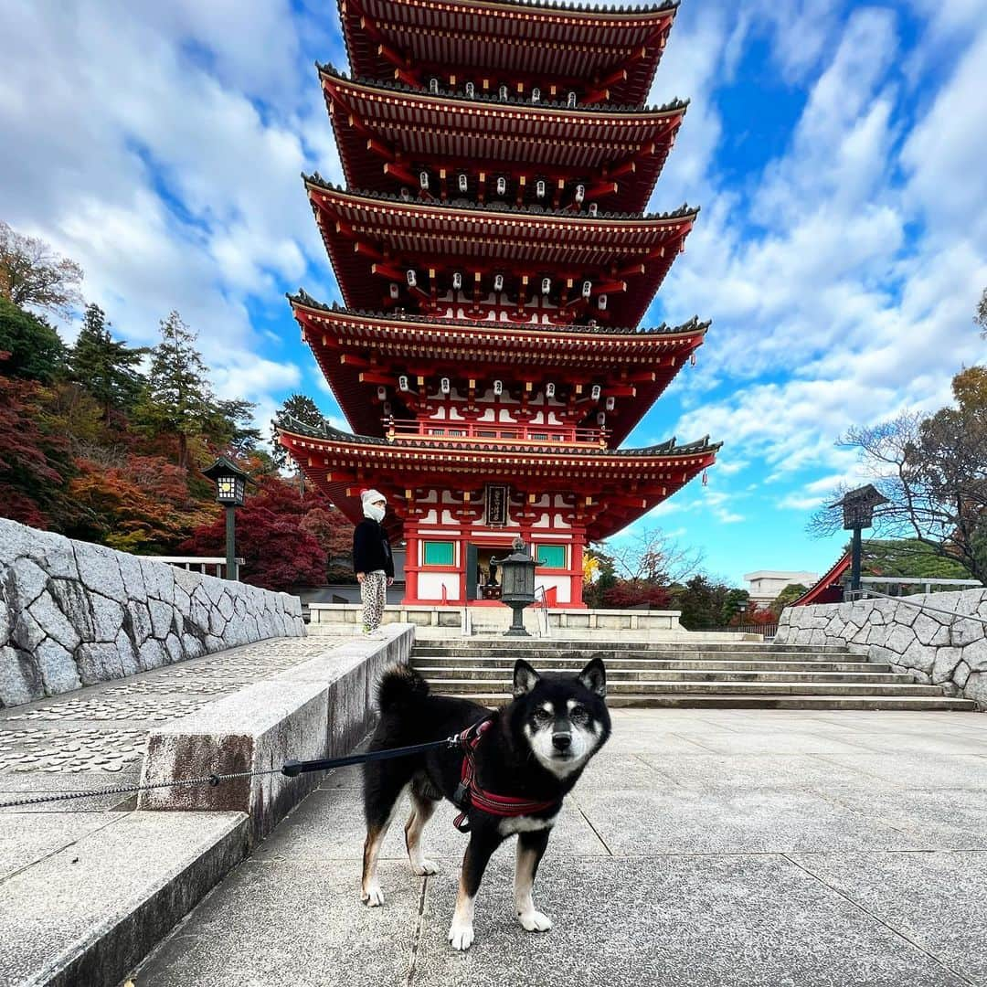 小川博永のインスタグラム