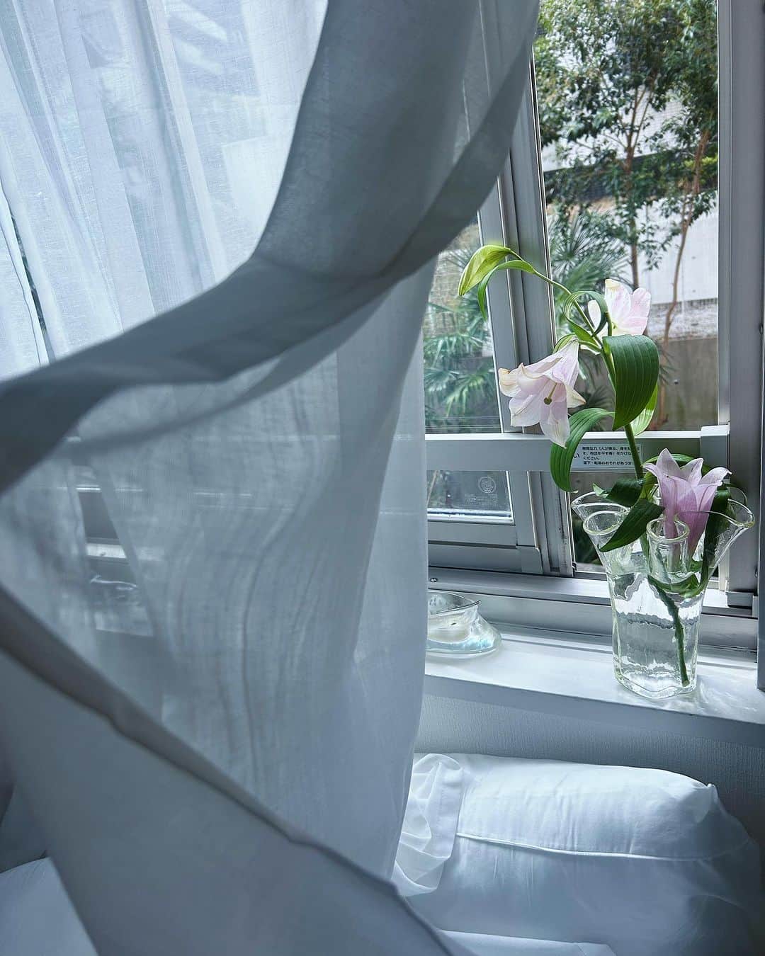LiLyのインスタグラム：「お花の水をかえにきた #heartmelthotel🗝  起業して、 女友達と 事務所ではなく ホテルの一室を借りました。  ここから　 ハートを溶かす ♡♡♡♡♡を 発明していきます💍  第一弾の ♡♡♡♡♡は すでに完成▷ 大発明.....?!?🧪♡  来年発売です 期待値maxで お待ちください  自信があります👑  #起業リリィ #サキリリ #fgm  @saki_tego 💍 #ハートメルトホテル」