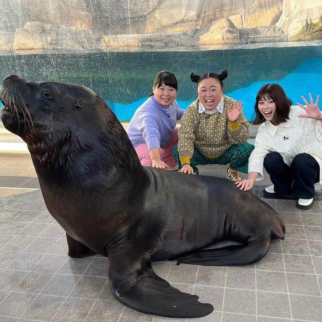 TBS「王様のブランチ」さんのインスタグラム写真 - (TBS「王様のブランチ」Instagram)「【仙台のニッチなスポットをめぐる🐟】 . #JRフルーツパーク仙台あらはま  #仙台場外市場杜の市場  店名： 片倉商店 うに炊き込みご飯(並)990円 うに卵とじ丼(並)990円 かき卵とじ丼(並)990円  店名： 仙臺菓寮梵天〇 杜の市場店 窯焼きシフォン生どら ダブルずんだ 399 円 ※売り切れ次第終了  #仙台うみの杜水族館  店名： 炭焼牛たん東山 仙台本店 特選牛たん刺 1,958円 牛たんつくね(2本) 440円 ゆで牛たん 1,078円 たん雑炊 528円  今週放送の週末トラベルは 本日夜からTVer配信予定！お楽しみに✍️  #ニッチェ #冴木柚葉 #仙台 #ニッチな日帰り旅 #日帰り #ニッチなスポット #秋 #グルメ #レジャー #王様のブランチ #週末トラベル」11月25日 10時45分 - brunch_tbs