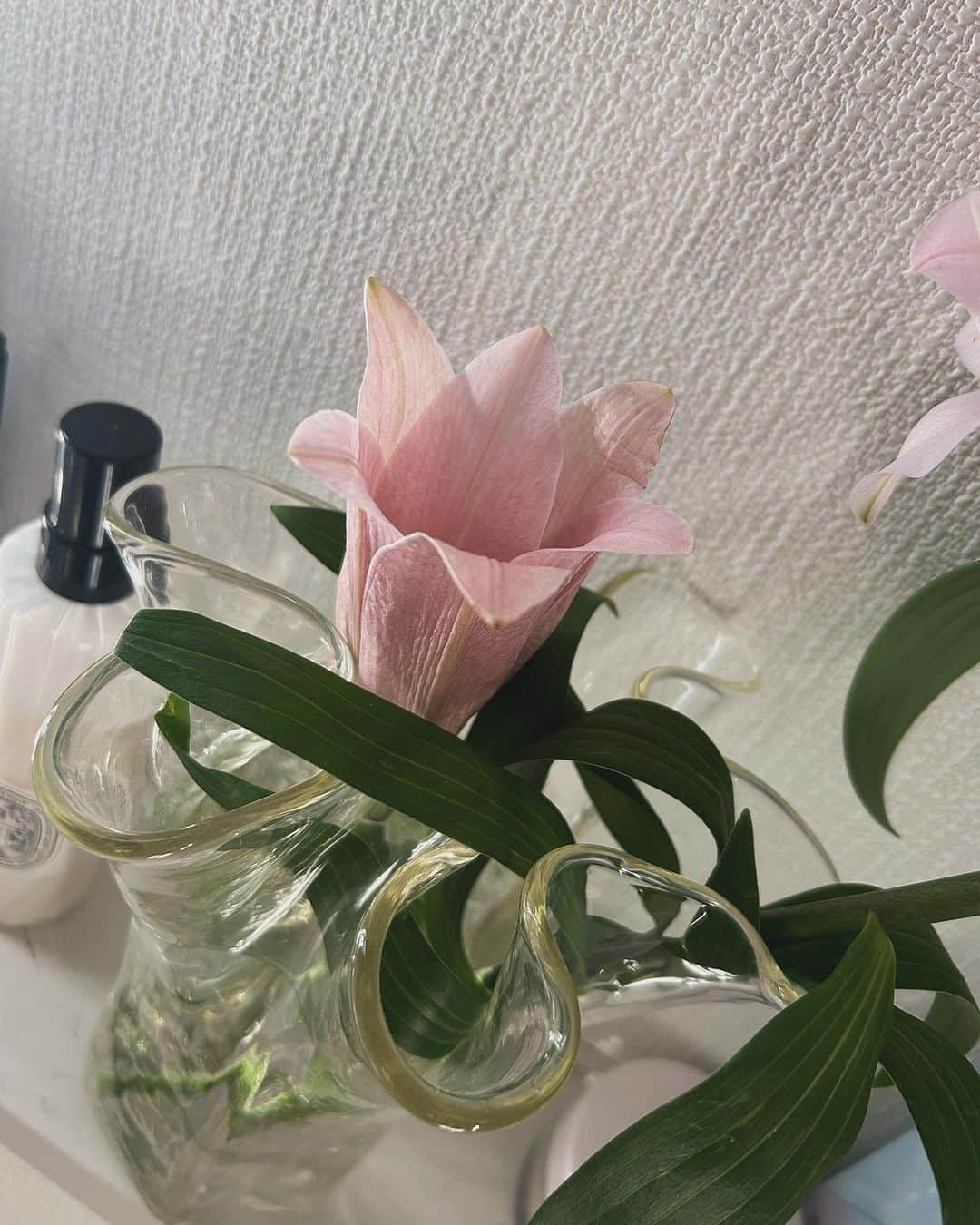 LiLyさんのインスタグラム写真 - (LiLyInstagram)「pink lily and gray shadow #heartmelthotel🗝  #ハートメルトホテル #起業リリィ　 #ピンクとグレー」11月25日 10時46分 - lilylilylilycom