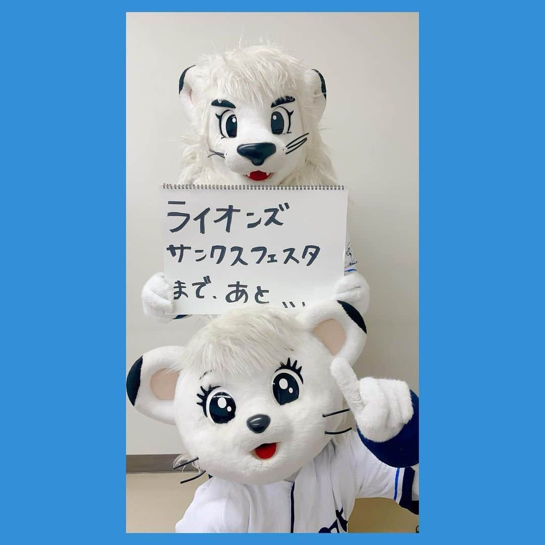 ライナさんのインスタグラム写真 - (ライナInstagram)「🎪  いよいよ あした 11がつ26にちは LIONS THANKS FESTA 2023✨ そして レオ ライナ フォトブックおわたしかい📷  このひが まちどおしくて まちどおしくて、ライナ ウキウキして まってたよ〜💙  あしたは さむいよ〜って きいたから あたたかくして、ベルーナドームへ きてね🎵  レオや みーんなと まってま〜す🎁  #レオ #ライナ  #seibulions  #埼玉西武ライオンズ  #ライオンズファン感」11月25日 10時53分 - lina_lions_official