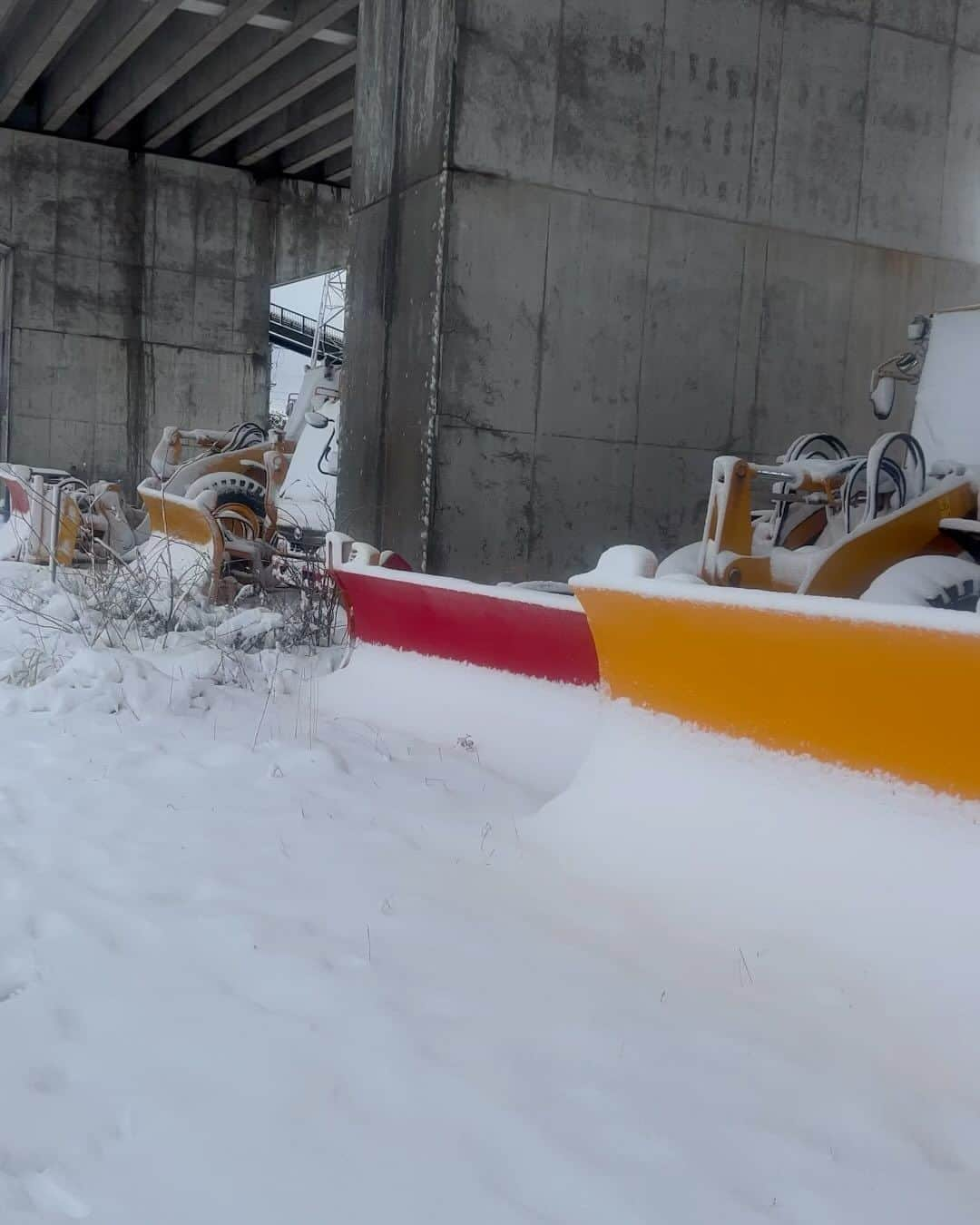 柳葉敏郎のインスタグラム：「初雪…」