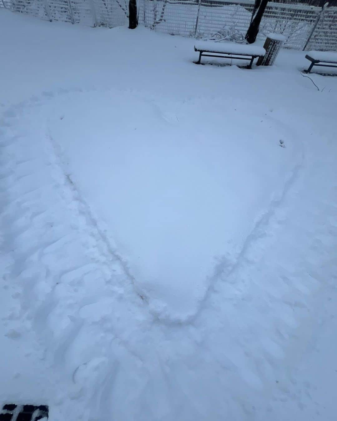 柳葉敏郎さんのインスタグラム写真 - (柳葉敏郎Instagram)「初雪…」11月25日 11時26分 - toshiro_yanagiba_official