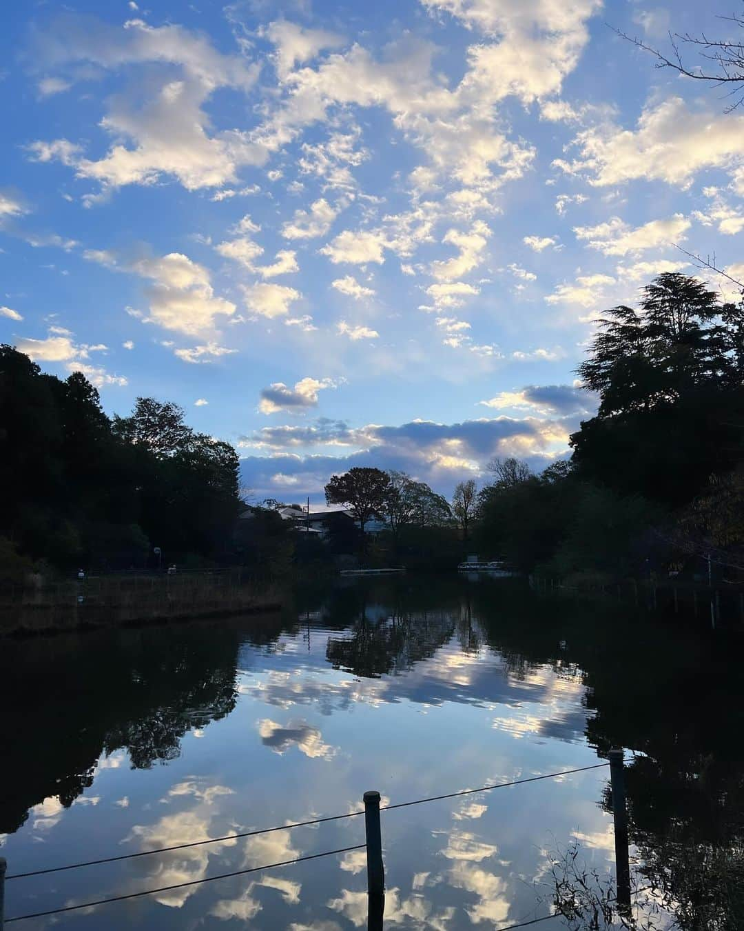 山田稔明のインスタグラム