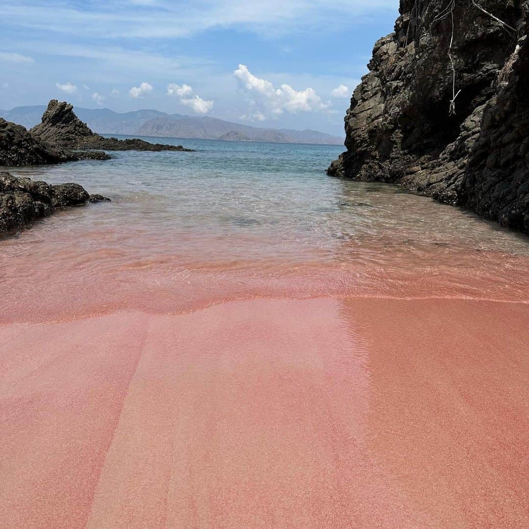 市原彩花さんのインスタグラム写真 - (市原彩花Instagram)「Pink beach🩷 📍komodo, Indonesia  念願のピンクビーチ🥹🩷 まじでピンク！可愛すぎ💖 サンゴが砕けてこんな色になったんだとか☺️  このビーチがあるコモド島はバリ島から飛行機で1時間、往復1万円〜で来れるよ☺️ 私は現地ツアーに参加して一日中海回ったよ🛥️ 超オススメなのでまた詳しく投稿するね😉  #pinkbeach#pinkbeachkomodo#ピンクビーチ#コモド#コモド島#komodo#komodoisland#インドネシア旅行#インドネシア観光#バリ島#水着#ビキニ#bikini#swimsuit#bajurenang#japanesegirl#bikinigirl#bikinimodel #あーちゃんバリ #あーちゃんコモド」11月25日 12時02分 - ayaka_ichihara