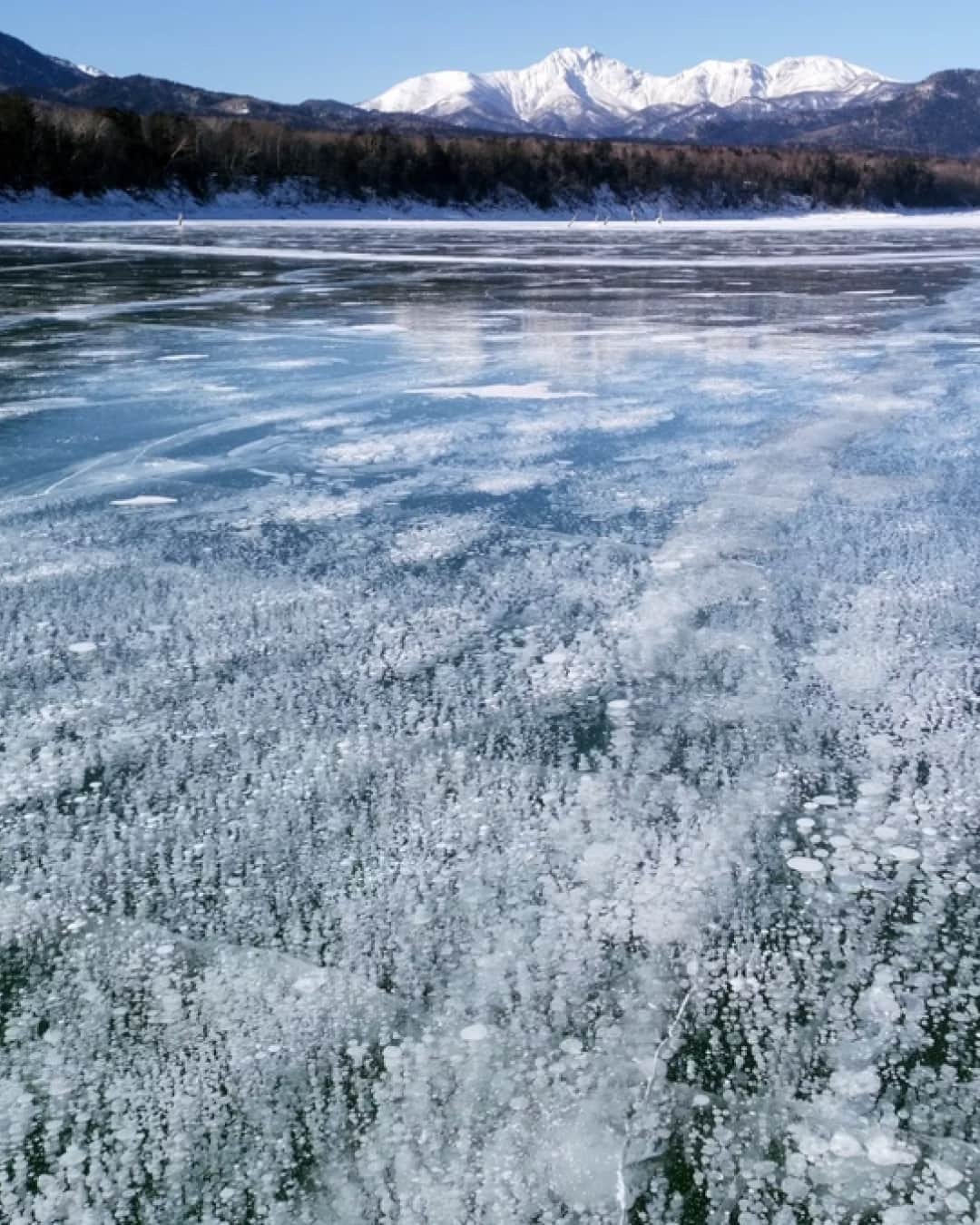 日本経済新聞社さんのインスタグラム写真 - (日本経済新聞社Instagram)「湖面に現れる氷の花や純白に輝く木々、普段は出合うことのない生き物。冬の湖では、他の季節にはない神秘的な景色を楽しめます。大自然を全身で味わうことのできる湖を専門家が選びました。⁠ ⁠ 詳細はプロフィールの linkin.bio/nikkei をタップ。⁠ 投稿一覧からコンテンツをご覧になれます。⁠→⁠@nikkei⁠ ⁠ #湖 #trip #冬 #神秘 #自然 #美 #日経電子版」11月25日 12時00分 - nikkei