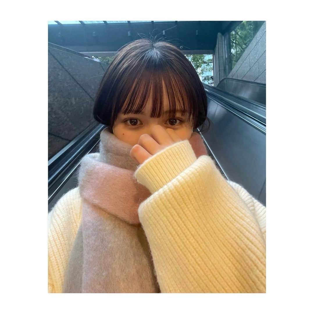 川﨑帆々花さんのインスタグラム写真 - (川﨑帆々花Instagram)「. マフラー沢山買っちゃった🧣」11月25日 17時32分 - kawasakihonoka_official