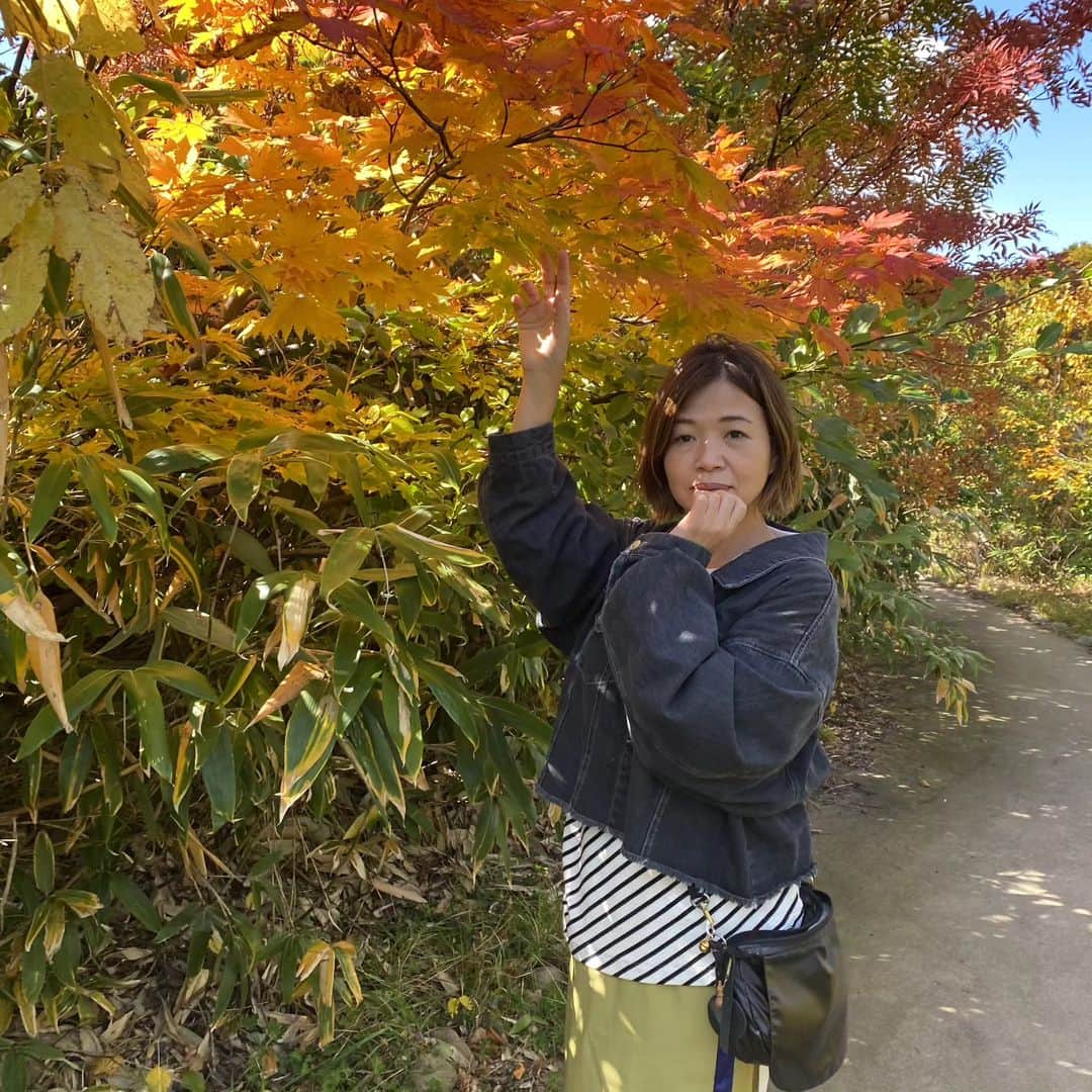 テレビ東京「土曜スペシャル」さんのインスタグラム写真 - (テレビ東京「土曜スペシャル」Instagram)「今夜６時３０分からは♨️温泉タオル集め旅in青森・秋田♨️  読書の秋📚食欲の秋🍽そして…温泉の秋！！🧖🏻‍♀️🛁 大自然たちの色鮮やかな衣替えである美しい紅葉🍁🍂 ゲストの#鈴木奈々 さんと秋を堪能し青森県の＃八甲田温泉郷 をスタートし、ゴールは秋田県の#乳頭温泉郷！ 絶景紅葉スポット・絶品地元名物料理をゆっくりまったり楽しむことはできるのか！？ １泊２日で８枚のロゴ入り♨️タオル集め旅！ 今回はどんな回になるのやら🧖 本日 夜６時３０分！土曜スペシャル 温泉タオル集め旅乞うご期待😏 番組TwitterとTikTokアカウントも更新中！ ぜひフォローをよろしくお願いします！  《お知らせ》 #TVer ではスマホやPC・タブレットなどで リアルタイム配信で無料でご覧いただけます！  #大久保佳代子  #川村エミコ   #鈴木奈々   #青森観光   #秋田観光   #青森旅行   #秋田旅行   #東北旅行   #女子旅   #八甲田温泉郷   #乳頭温泉     #温泉好きな人と繋がりたい   #温泉   #絶景露天   #錦秋   #温泉タオル   #TikTok始めました   #twitter始めました   #フォローしてね   #温泉ソムリエ   #♨️   #テレビ東京   #土曜スペシャル   #土スペ」11月25日 12時04分 - tvtokyo_dosupe