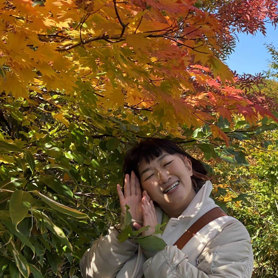 テレビ東京「土曜スペシャル」さんのインスタグラム写真 - (テレビ東京「土曜スペシャル」Instagram)「今夜６時３０分からは♨️温泉タオル集め旅in青森・秋田♨️  読書の秋📚食欲の秋🍽そして…温泉の秋！！🧖🏻‍♀️🛁 大自然たちの色鮮やかな衣替えである美しい紅葉🍁🍂 ゲストの#鈴木奈々 さんと秋を堪能し青森県の＃八甲田温泉郷 をスタートし、ゴールは秋田県の#乳頭温泉郷！ 絶景紅葉スポット・絶品地元名物料理をゆっくりまったり楽しむことはできるのか！？ １泊２日で８枚のロゴ入り♨️タオル集め旅！ 今回はどんな回になるのやら🧖 本日 夜６時３０分！土曜スペシャル 温泉タオル集め旅乞うご期待😏 番組TwitterとTikTokアカウントも更新中！ ぜひフォローをよろしくお願いします！  《お知らせ》 #TVer ではスマホやPC・タブレットなどで リアルタイム配信で無料でご覧いただけます！  #大久保佳代子  #川村エミコ   #鈴木奈々   #青森観光   #秋田観光   #青森旅行   #秋田旅行   #東北旅行   #女子旅   #八甲田温泉郷   #乳頭温泉     #温泉好きな人と繋がりたい   #温泉   #絶景露天   #錦秋   #温泉タオル   #TikTok始めました   #twitter始めました   #フォローしてね   #温泉ソムリエ   #♨️   #テレビ東京   #土曜スペシャル   #土スペ」11月25日 12時04分 - tvtokyo_dosupe