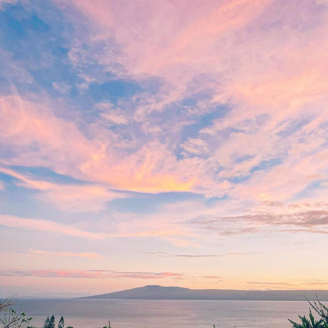 山崎美弥子さんのインスタグラム写真 - (山崎美弥子Instagram)「Beginning of Island Winter 島の冬の始まり。」11月25日 12時08分 - miyakoyamazaki