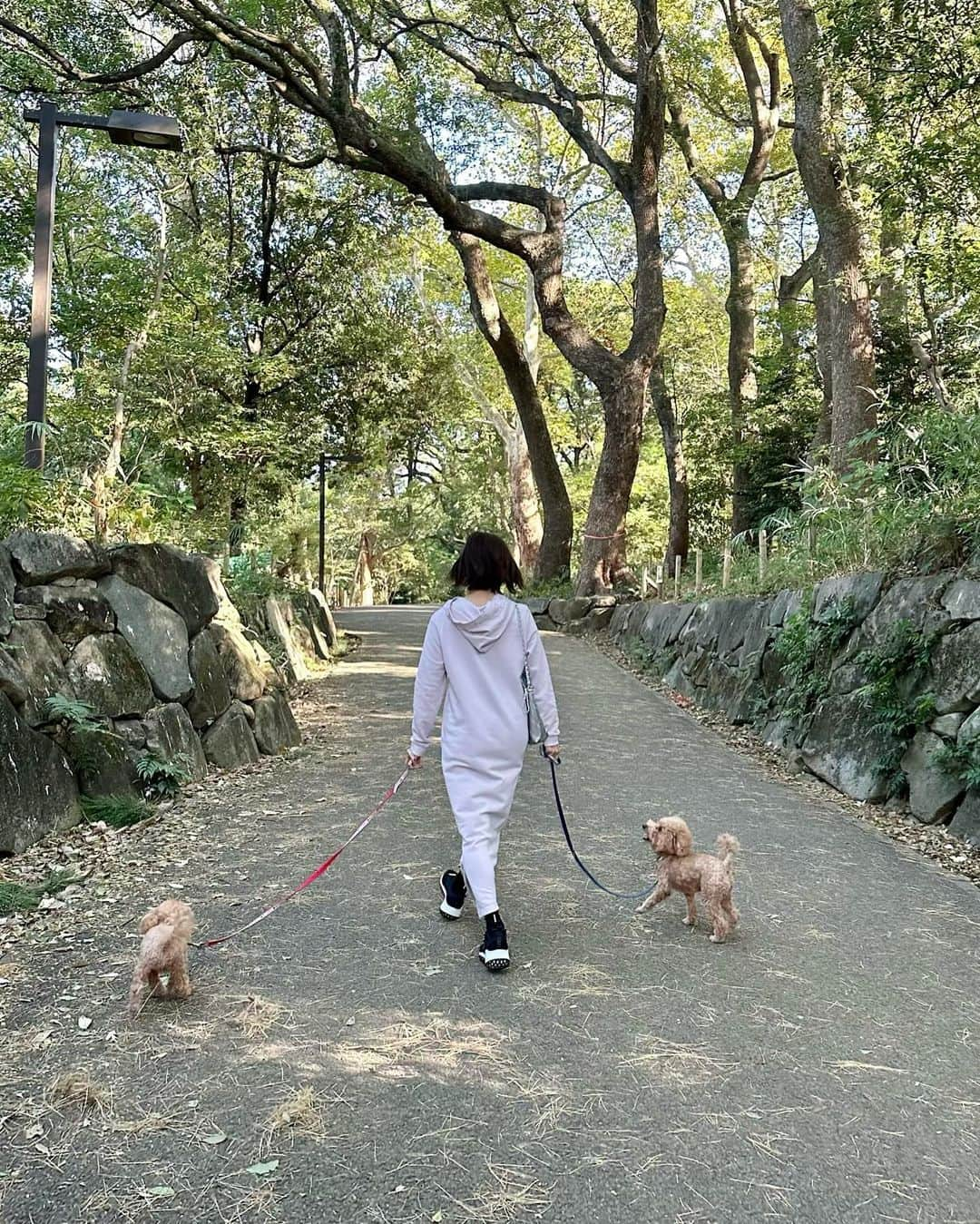 水野佐彩さんのインスタグラム写真 - (水野佐彩Instagram)「・ 息子たちとお散歩〜🐶🐶💛 toccoのワンピ、フードがレースで可愛いの☺️🩷  @tocco_rakuten @tocco_closet #toccocloset #tocco  #トッコクローゼット　#トッコ　#tocco楽天市場　#PR」11月25日 12時09分 - saaya_mizuno