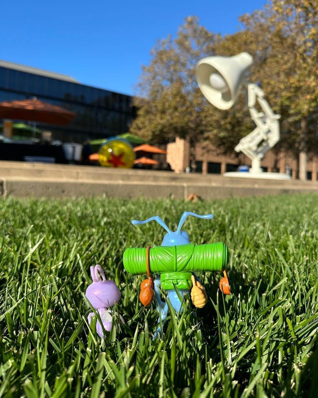 Disney Pixarさんのインスタグラム写真 - (Disney PixarInstagram)「We're buggin' out over A Bug's Life turning 25 today! 🐜 🌱 Fun Fact: Did you know Pixar Studio was built on the proceeds from the film? We like to say, the campus was built by bugs!」11月26日 2時30分 - pixar