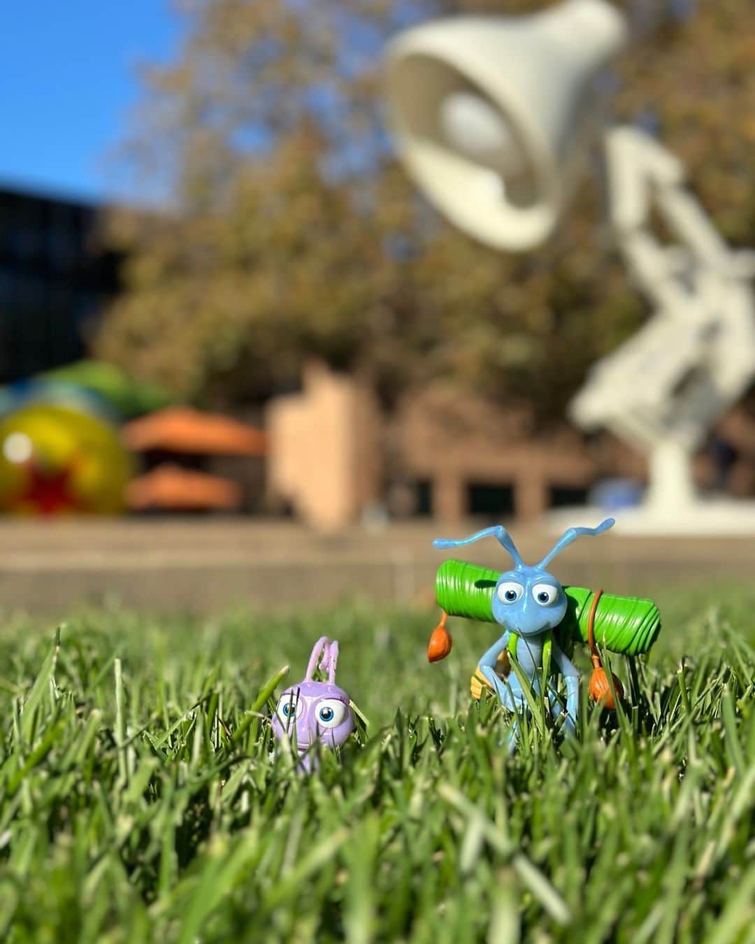 Disney Pixarのインスタグラム：「We're buggin' out over A Bug's Life turning 25 today! 🐜 🌱 Fun Fact: Did you know Pixar Studio was built on the proceeds from the film? We like to say, the campus was built by bugs!」