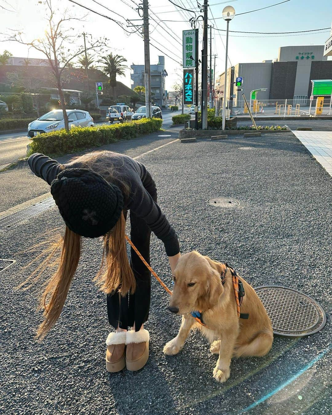 ダレノガレ明美さんのインスタグラム写真 - (ダレノガレ明美Instagram)「@anella_cafe_sakura  @dogrescue_anella  1枚目はピルクルちゃんが心を開いてくれた瞬間☺️ 2枚目は初対面の時。全然目も合わせてくれないし、歩いてもくれなかった🥶 なのでたくさん抱きしめて撫でて、話しかけてあげたら 心を少し開いてくれました🥰 みんな可愛くて良い子で幸せな時間でした☀️ 素敵な家族が見つかりますように！」11月25日 12時57分 - darenogare.akemi