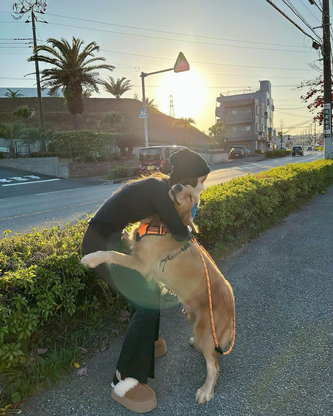 ダレノガレ明美さんのインスタグラム写真 - (ダレノガレ明美Instagram)「@anella_cafe_sakura  @dogrescue_anella  1枚目はピルクルちゃんが心を開いてくれた瞬間☺️ 2枚目は初対面の時。全然目も合わせてくれないし、歩いてもくれなかった🥶 なのでたくさん抱きしめて撫でて、話しかけてあげたら 心を少し開いてくれました🥰 みんな可愛くて良い子で幸せな時間でした☀️ 素敵な家族が見つかりますように！」11月25日 12時57分 - darenogare.akemi