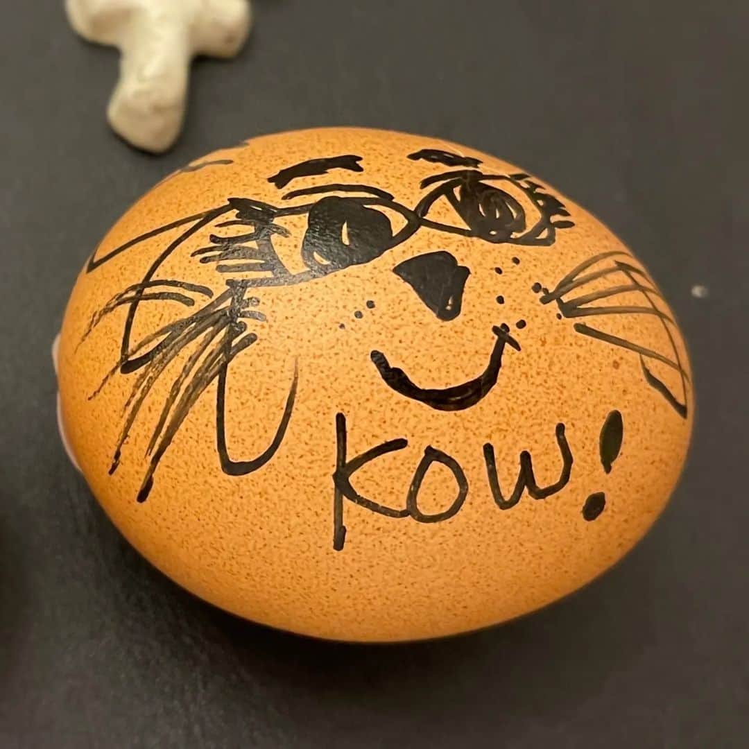 小林幸子さんのインスタグラム写真 - (小林幸子Instagram)「お昼にゆで卵を作り、食べる前に😁😁😁  ゆで卵にジャコと、コウ😺の絵を書いちゃいました‼️  下手くそな幸子画伯でした😅  さあ、今日もお仕事いってきまーす🎤  #sachikokobayashi #小林幸子  #幸子画伯  #絵を書いて見ました  #ジャコ助  #コウの助  #猫の絵  #誰か褒めて」11月25日 13時06分 - kobayashi_sachiko_5884