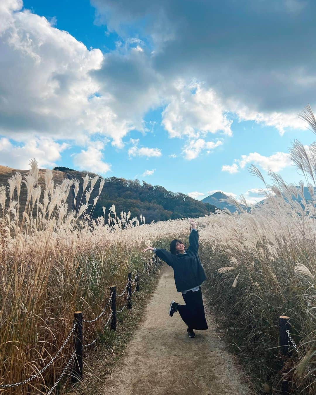 稲富菜穂さんのインスタグラム写真 - (稲富菜穂Instagram)「少し前、曽爾高原行ってきた🌾  太陽の光でススキが黄金に輝いてた🌟 秋だなぁ、って感じたよ☺️  #曽爾高原 #奈良県 #ススキ #🌾」11月25日 13時26分 - inatomi74