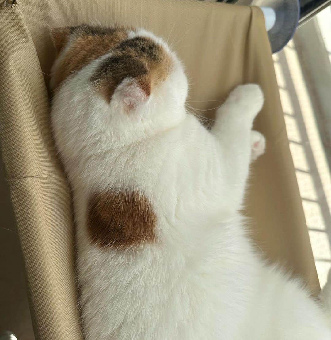 momo0224momomoのインスタグラム