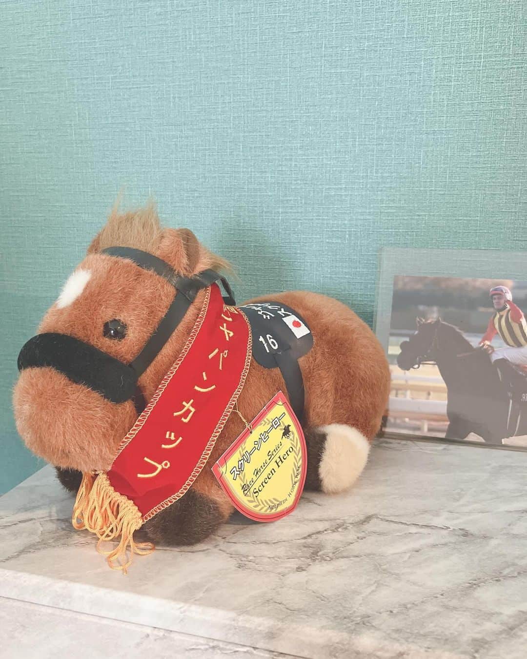 砂岡春奈のインスタグラム：「HERO is 𝓒𝓸𝓶𝓲𝓷𝓰   スクリーンヒーローのJCからもう15年も経ったんですね（えっ…😂   08年JCでスクリーンヒーローのファンになって、東京競馬場でアルバイトして。笑 馬ドルやって、、競馬キャスターになり、 産駒であるモーリスの引退式司会を務めさせていただくという、夢のような人生を歩めたのは、他でもないスクリーンヒーローのお陰です。 あなたがいなかったら今私はここにいません。  種牡馬も引退して、これからはヒーロー産駒にも少しづつ会えなくなって行くけれど  今は子供たちが孫たちがG1を勝ち夢を繋いでくれています😊  JRAのキャッチコピーもそうだし…プリキュアも今年はヒーローがテーマなんですよ。  だからとにかくヒーローヒーロー聞いた1年でした笑🤣  ありがとう大好きなスクリーンヒーロー 種牡馬生活お疲れ様でした これからはゆっくり穏やかに余生を過ごしてください😌 I need a Hero～  さて、明日のJC、ヒーローの座は誰の手に✨  #jc #ジャパンカップ #スクリーンヒーロー #種牡馬 #東京競馬場 #モーリス #競馬 #jra  #hero #horse #horseracing」