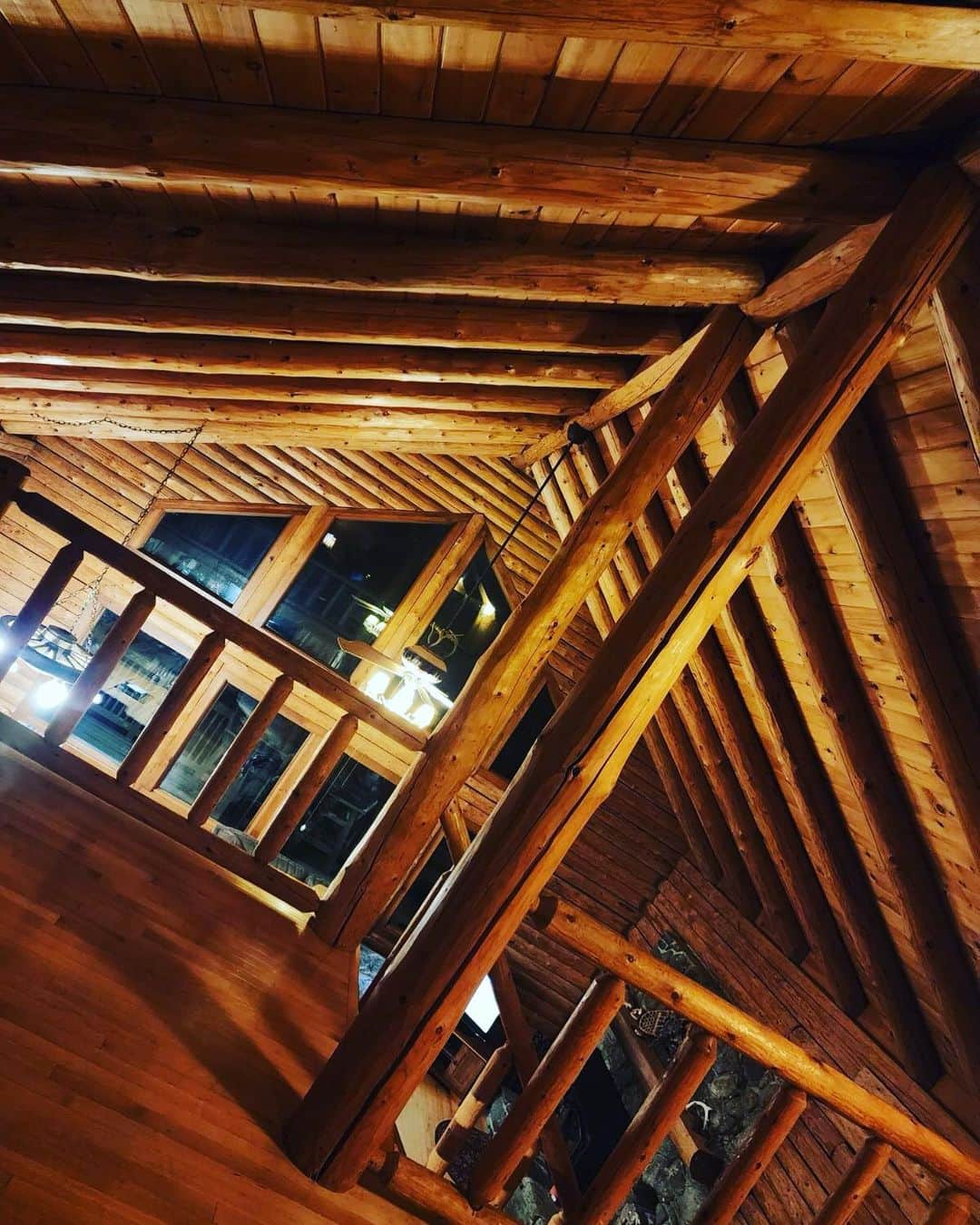 ロージー・オドネルのインスタグラム：「where u at ?」
