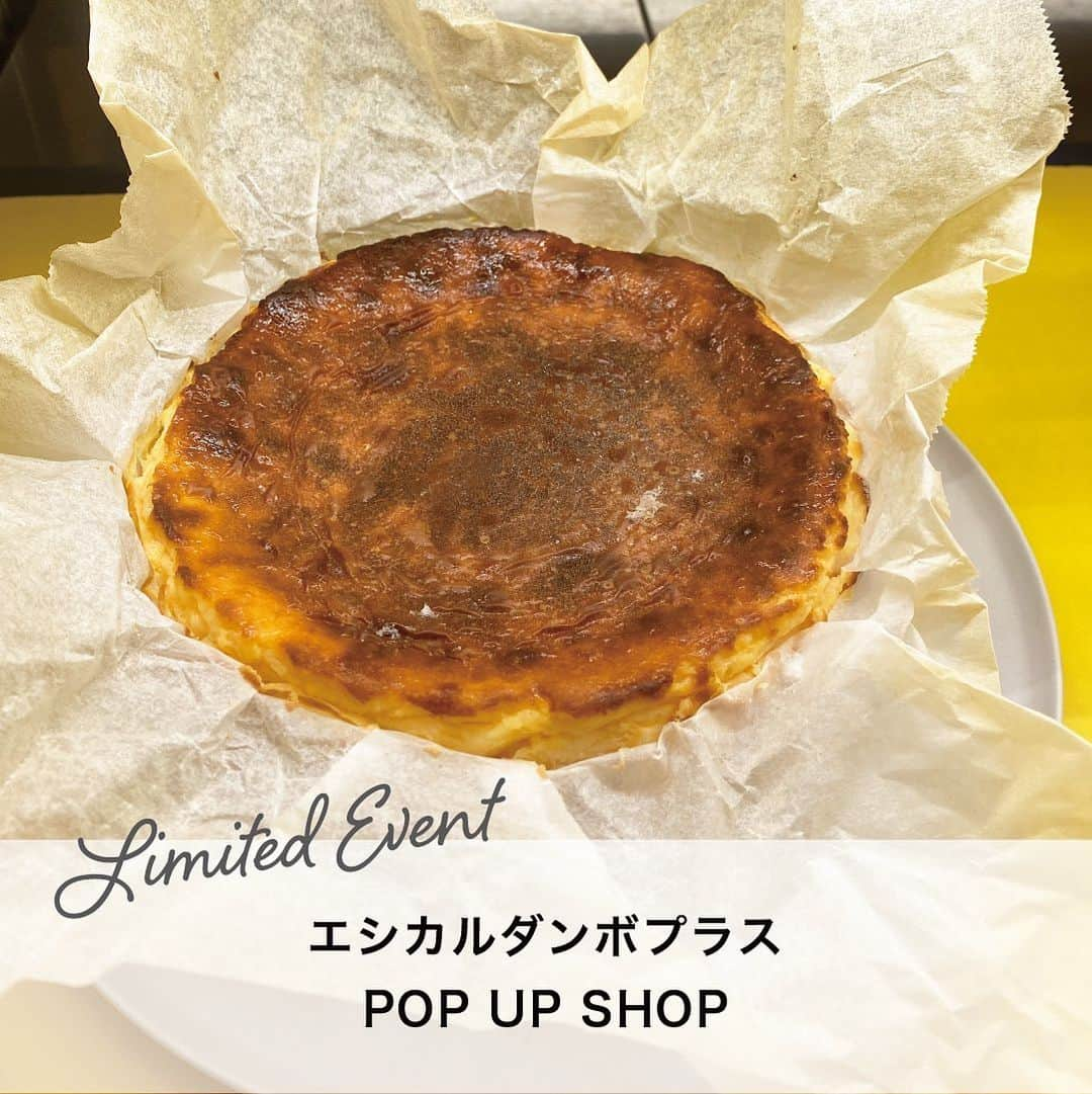 天王寺ミオのインスタグラム：「本日（11/25）より、 エシカルダンボプラスPOP UP SHOPを開催中！☆  「自然素材にこだわった優しさのあるチーズケーキ」 私たちの生まれた石川県産の能登ワインや五郎島金時を使用したチーズケーキ、焼菓子をつくっています。 原材料にもこだわり、無添加やグルテンフリーのケーキもご用意しています。  皆様のお越しをお待ちしております♪  ーーーーーーーーーーーーーーーーーーーーーーーーーー 【期間】11月25日(土)〜12月4日(月) 【時間】11:00～21:00 ※最終日は20:00まで 【場所】本館1F ミオセントラルスクエア  Instagramアカウントトップでは、天王寺ミオで開催中のイベントなどを紹介中♪ぜひチェックしてみてね!  #天王寺ミオ #tennojimio #天王寺mio #텐노지미오 #関西 #간사이 #osaka #오사카 #大阪 #tennoji #텐노지 #天王寺 #あべの #abeno #关西 #天王寺グルメ#event #ethicaldumbo  #チーズケーキ#エシカルダンボ #エシカルダンボプラス#バスクチーズケーキ #エシカルダンボプラス#バスクチーズケーキ#おやつ時間#おうちカフェ」