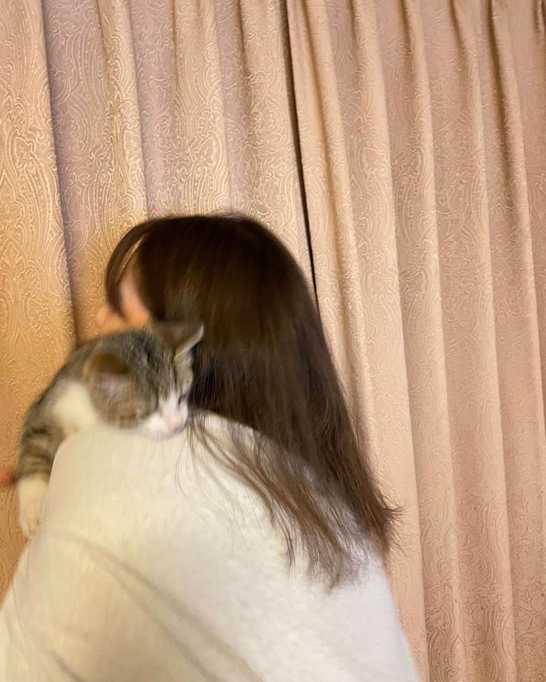 小池里奈さんのインスタグラム写真 - (小池里奈Instagram)「地元🐈  子猫は私の背中がお気に入りのようでした。  佐野らーめん森田屋総本店、完食🍜  空が広かった☁️  そしてしじみはしばらく会わないうちに顔がとっても大きくなっていました☺️笑」11月25日 15時10分 - koike_rina_93