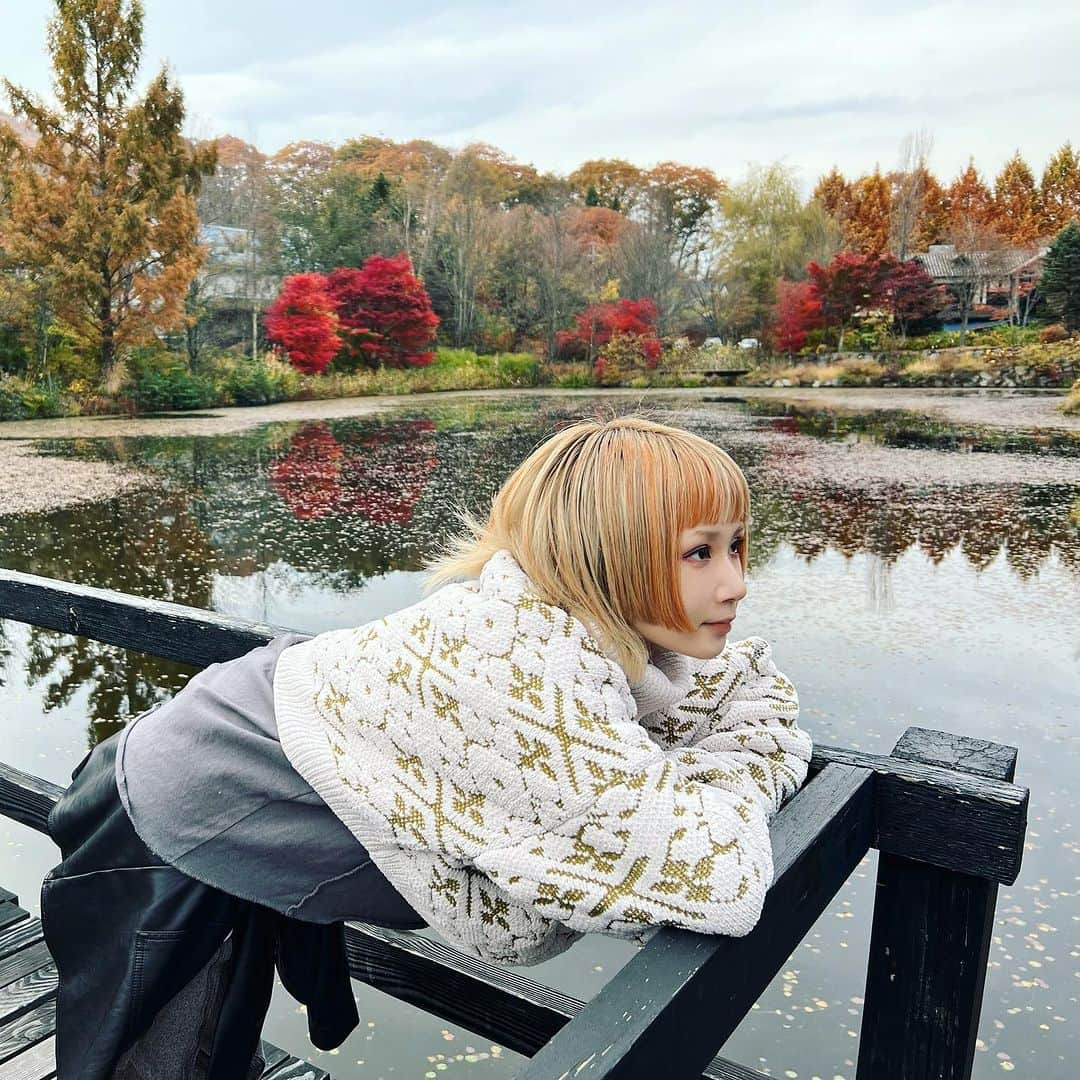 REOLさんのインスタグラム写真 - (REOLInstagram)「🍂🍁🦊🦜🏔️」11月25日 15時18分 - rrreol999