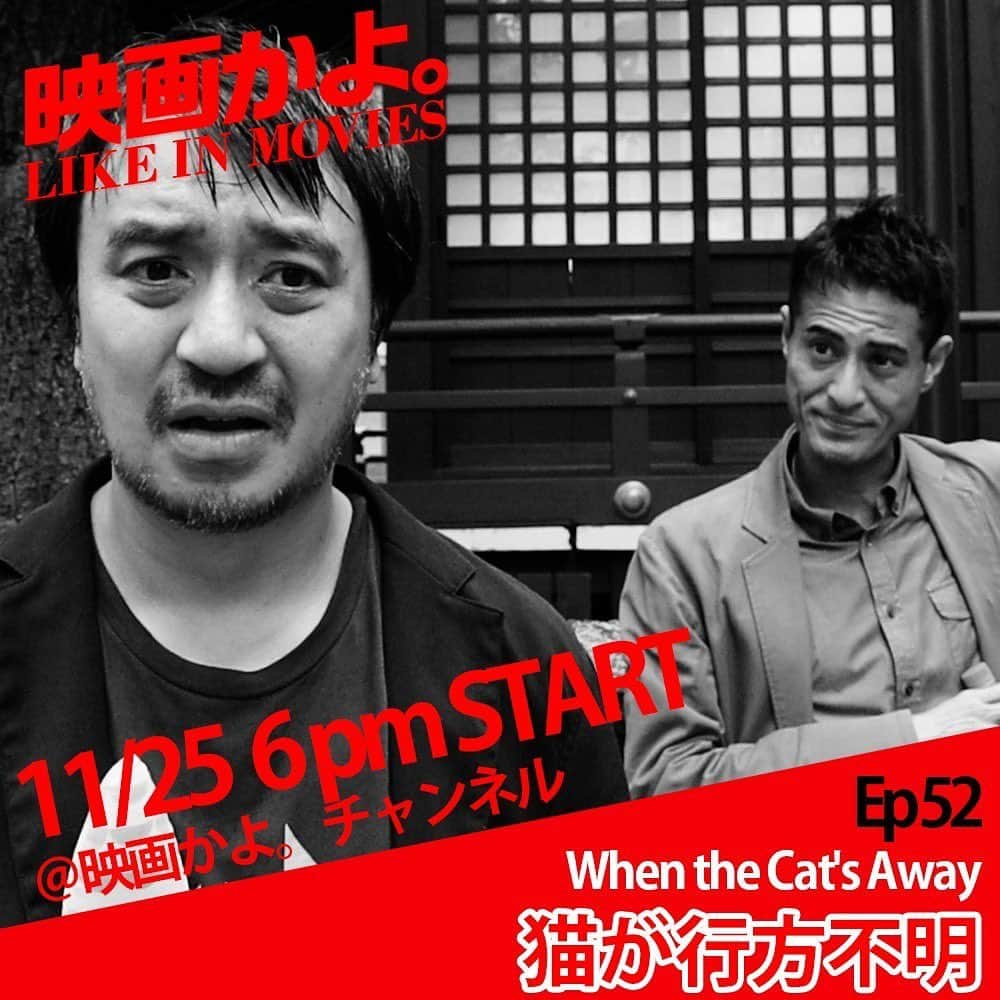 青木伸輔のインスタグラム：「映画かよ。EP52「猫が行方不明」配信中です！ 前回の1分動画に続き、樽井も出てます。 よろしくお願いいたします。 https://youtu.be/29AJtK7gXaU?si=4JMUDXtofx6lcztu #映画かよ #likeinmovies #猫が行方不明 #youtube #youtubeドラマ」