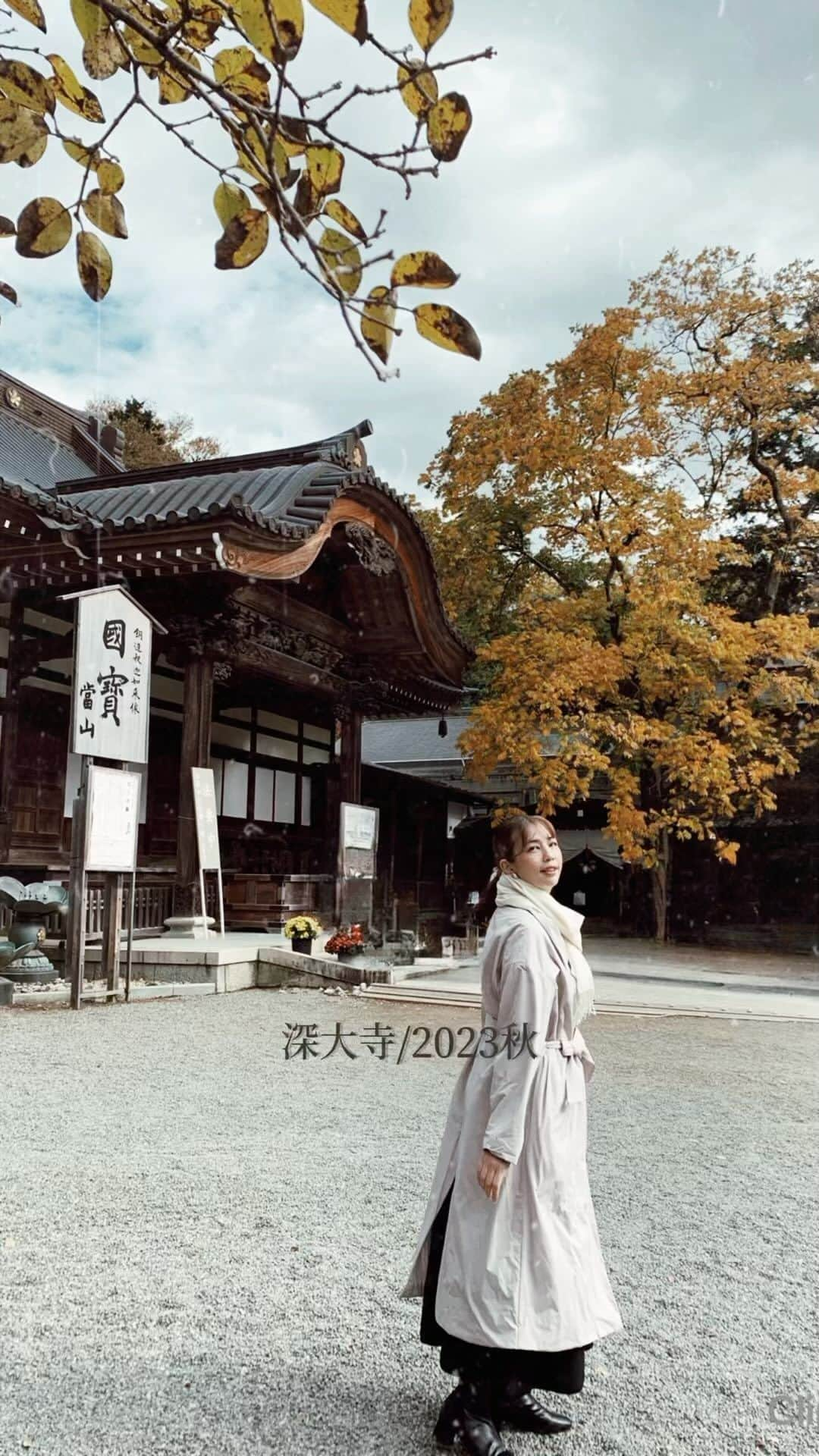 かねさだ雪緒のインスタグラム：「初めて深大寺に行ってきました 想像以上に広くて賑やかで驚きました😳 お店も沢山あって、まるで旅行に来た気分！ なんじゃもんじゃに驚きです ゲームの名前だと思ってた！  そして お水の綺麗な深大寺といえばおそば！ 山かけそばをいただいて、  蕎麦団子も食べましたよ  その後は神代植物園にも行って 広さと美しさに驚きましたー！！！ 秋の薔薇が咲き誇っていました。 梅や藤棚、躑躅もあって、それぞれの季節に 行くのも楽しいでしょうね  いつかまた、牡丹や菊の季節にもまた来たいなぁ✨  #深大寺 #神代植物公園  #寺院巡り」