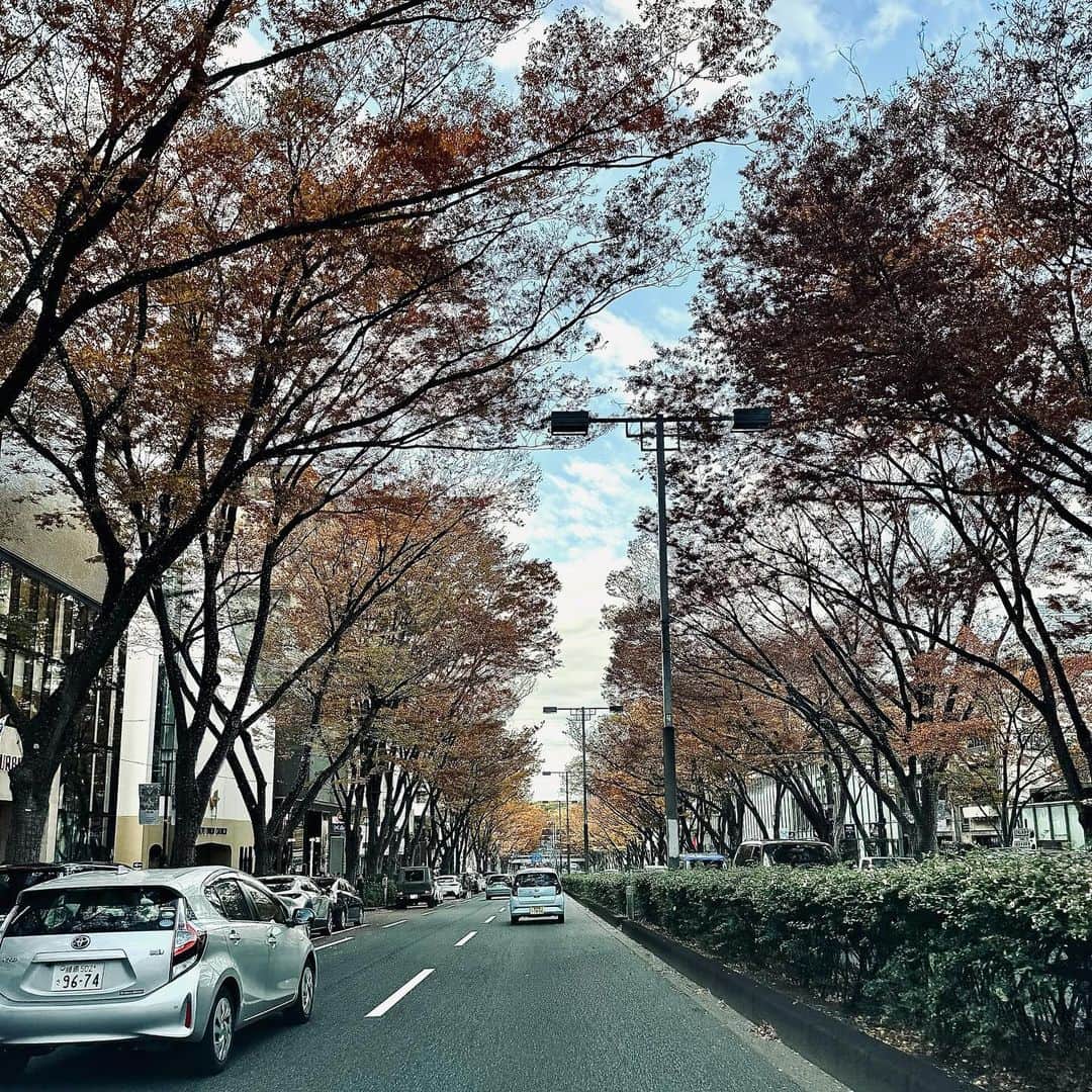片山正通のインスタグラム：「束の間の秋。 @ 表参道  Autumn in a brief moment. @ Omotesando」