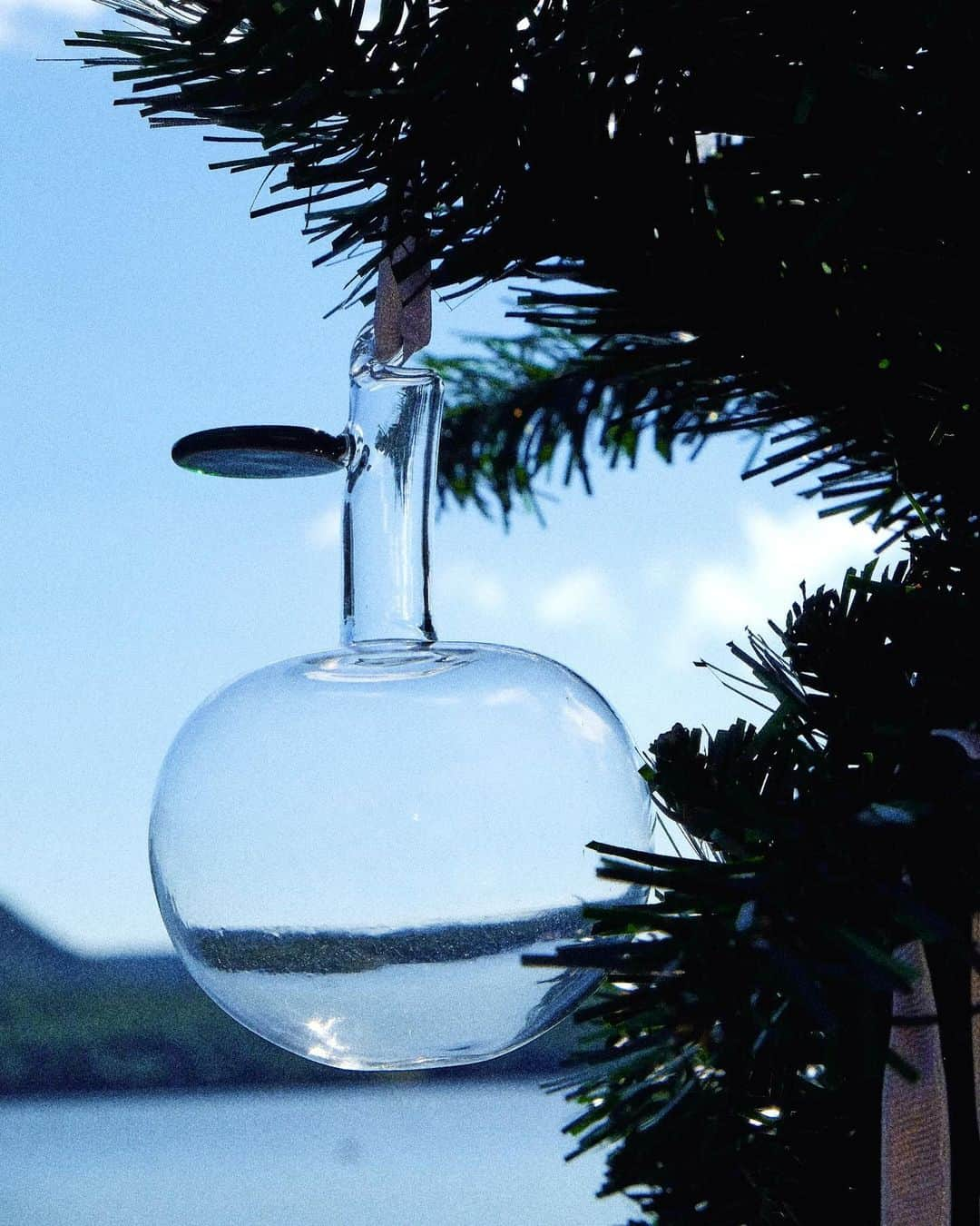 小関裕太さんのインスタグラム写真 - (小関裕太Instagram)「＊ 【IITTALA クリスマスピクニック】  ——————————————————  おっとは、空を眺めると涙を流すようなひとです。 今日は久々の休日。久々の子供たちとの時間。 嬉し涙でした。  ——————————————————  #バードバイトイッカ #ルリコマドリ  #ウルティマツーレ  #ガラスアップル  @iittala @iittala_japan  #イッタラ #iittala #merrymode #pr」11月25日 17時58分 - kotobanoamarinaitokoro