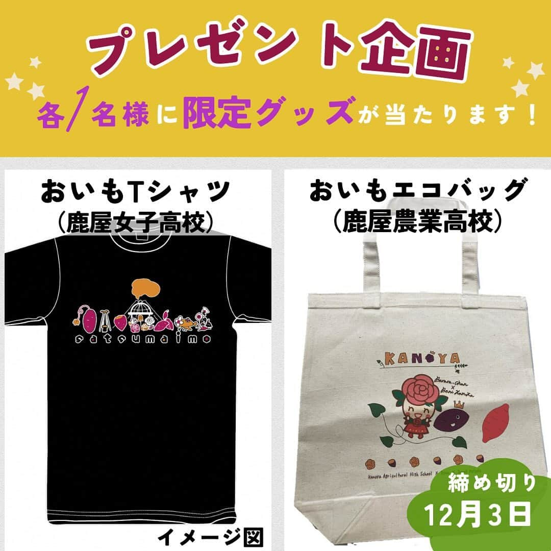 鳥越佳那のインスタグラム：「【プレゼント応募は12月3日(日)まで🎁】  ＝＝＝＝＝＝＝＝＝＝ ▶︎▶︎11月24日(金)配信の動画をご視聴になった後 @kana_torigoeプロフィール画面のハイライト「プレゼント応募&応援メッセージ」よりご応募ください🙇‍♀️✨ ＝＝＝＝＝＝＝＝＝＝  \\🍠おいもフェスかのや🍠//  会場からお届けした高校生とのコラボ動画❣️ ご覧いただいた皆さんありがとうございます😊  (生配信ができなかったためリール動画でご紹介しています🙇‍♀️)  サツマイモの本場 鹿児島・鹿屋は 高校生も芋愛が強い🫶 この熱気をみなさんにもお届けしたいと思い 動画内でご紹介した  ＼ おいもフェスかのや限定‼️ 高校生デザインの公式グッズを プレゼントさせていただきます🎁✨ ／  高校生コラボのご感想など ご記入いただいた方の中から抽選で当たります🎁 ご応募お待ちしています🍠🙇‍♀️✨ ↓↓↓↓↓ ＝＝＝＝＝＝＝＝＝＝ ★賞品 ・おいもTシャツ(Mサイズ) ・おいもエコバッグ　　　　各1名様 ★応募方法 ＠kana_torigoeプロフィール画面のハイライト「プレゼント応募・応援メッセージ」から必要事項をご記入の上ご応募ください。 ★締め切り 令和5年12月3日(日) ＝＝＝＝＝＝＝＝＝＝  今回の動画は YouTubeでも配信しています🎥 ↓↓↓↓↓ 〜〜〜〜〜〜〜〜〜〜 \\おいものまちかのやの魅力を発信// 企画〜編集まで担当している YouTube『かないも日和』は @kana_torigoe プロフィールから🐥💕 チャンネル登録＆高評価よろしくお願いします☺️ 〜〜〜〜〜〜〜〜〜〜 . . #鹿児島県 #鹿屋市 #かのや #大隅半島 #visitosumi  #インスタライブ #イベント #コラボ配信 #鹿屋市農業まつり #おいもフェスかのや  #おいもフェス #農業 #さつまいも  #さつまいもグルメ #サツマイモスイーツ #鹿児島スイーツ #鹿屋スイーツ  #鹿児島グルメ #鹿屋グルメ #地域おこし協力隊 #かのやPRレポーター #さつまいもアナウンサー」