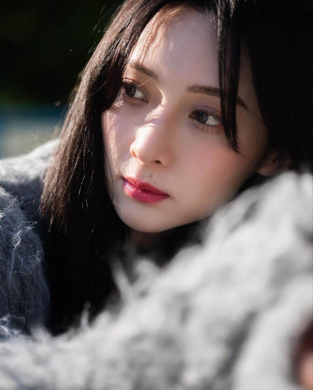 masayuki nittaさんのインスタグラム写真 - (masayuki nittaInstagram)「. 撮影25回目くらいにして、顔の角度を決めたまま目線をはずす技を習得した🐸ちゃん」11月25日 18時05分 - masayuki_nitta