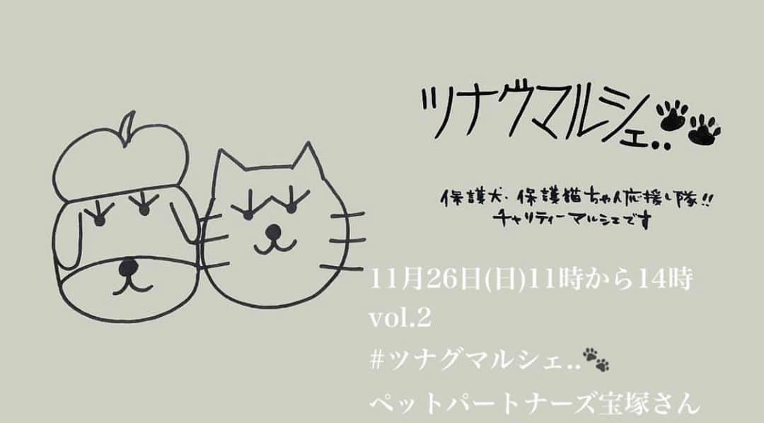 猫カフェきぶん屋のインスタグラム：「明日は宝塚市内のこちらのイベントにベジニャンカレー、ボロネーゼなど持っていきます🎵 お近くの方はぜひお越しくださいね😺  犬猫の譲渡会もありまーす🐕  第二回 #ツナグマルシェ..🐾 詳細です🐶🐱 . 🙏今回も売り上げより 保護犬、保護猫活動をされている方の寄付にさせていただきます。マルシェ終了後に、皆様からのお気持ち、お渡し先などお知らせいたします🙏✨ . 場所.. ペットパートナーズ宝塚さん @petpartnerstk  （無料駐車場有り） （伊丹駅からバスでています） 時間..11時〜14時 . . ○猫さん譲渡会 ○作家さん出店者さん 蚤の市 ○飲食販売○物販 ○tsunagu.marche テーマソング発表会 ・保護犬、猫さん お話会、絵本の時間、塗り絵コーナー などなど 盛りだくさんです！ . ◉出店者様ご紹介 . 🐶🐱動物さん食べ物 stmeat  お肉屋さんのわんちゃん 手作りおやつ . @home_wanko  わんちゃん猫ちゃん魚おやつ . @cafe_kokoronotsuki_vintage  ・わんちゃんの手作り焼き菓子 . . 🐶🐱動物さんグッズ @yonyyon44  手作りあみ小物・腹巻 . @atelier_tsunagu  ・手作りお散歩バック、 マナーポーチ . @mizutama_miki  ・手作り猫ちゃんクッション・猫ちゃんグッズ . @accessory_becca  ・動物さんシルバーブローチ . @natu.cafe  ・かっこよいグリーン 植物 . @azuki.iro3  ・手作り布小物・グッズ . ☕️🍱飲食(人間用) @camus.kokoro_no_tsuki  ・珈琲・焼き菓子 . @s.yodareneko  ・猫形焼き菓子 . yakigashiya_conoca  ・焼き菓子 . @matsuba3san  心に優しいクレープ @okazuno.yamamotoya  今回、やまもとやさんは まつばクレープに塩キャラメルコラボで ご参加下さいます。 . stmeat  ・おいしいお惣菜弁当 . 🍴食べ物販売 @kurashichair  @xylophone86  ・麹調味料・手作りごはんに欠かせない身体に優しい麹調味料 . @nekocafekibunya  ・ベジニャンカレー・ベジニャンボロネーゼ ベジニャンシリーズは、美味しい人間用です。  . @mgarden.mgarden  🌿大人も子供さんも楽しいグリーンワークショップ (面白い先生とミニツリーやリース・動物さんマグネットが作れます) リース・スワッグ・ガーランドの販売もありますよ。 .  @xylophone86 今回麹調味料だけでなく、ワンニャン素敵なタイルご飯台のワークショップも開催してくださいます🐶🐱❤️ お楽しみに✨✨✨🙌✨  @akira.so.lucky アキラさん 🌈あなたのオーラは何色？ あなたのまとうオーラをみてもらえますよ。どんな性質が出てくるか⋯お楽しみに。  🐱保護猫さんの譲渡会🐱 @mofu201811 もふもふ西宮さん主催の譲渡会が開催されます。 ご家族みんなで猫さんを迎え入れることについて話し合って足を運んで頂けると嬉しいです。 . 🐶ワンちゃん入場OKですが、猫ちゃスペースがありますので、リード、マナーパンツ、二階の会場へは抱っこでのご協力をよろしくお願いします。 （蚤の市、譲渡会会場へは入れません🙏）  🐱譲渡会に頑張って参加している猫さんたちがいます。 応援のお気持ちもこめて、お心遣いよろしくお願いします。 . . 盛りだくさんな内容で おまちしております。 皆様にとって 最初の一歩となるマルシェになりますように。 保護猫保護犬ちゃんたちへ想いをよせてもらえると嬉しいです。皆様のお越しを心よりおまちしておりますね。 . #保護犬保護猫活動 #保護犬を家族に #保護猫を家族に #まずは知って欲しい　 #マルシェ #蚤の市」