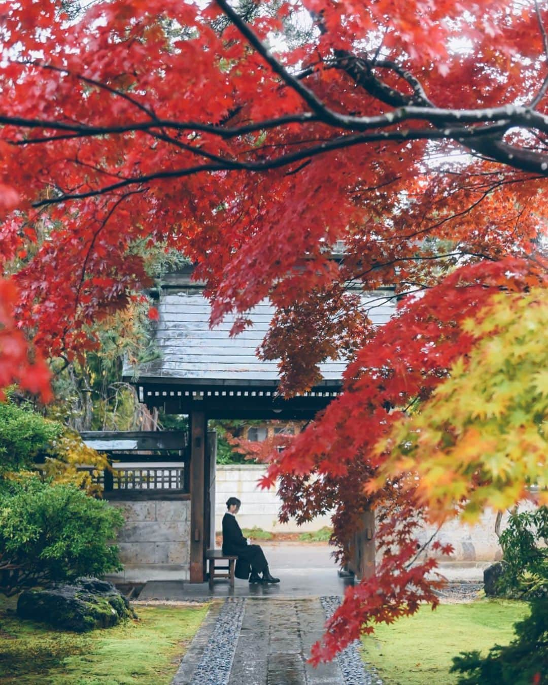 yukiのインスタグラム：「・ ・ ・  #instagram #instagramjapan  #landscape #nikoncreators #紅葉 #新潟紅葉  #僕らが見ている風景 __________________________ 日々の撮影記事やコラム更新中！ ・・・・・・・・・・・・・・・ ◉FAN限定サイト◉ https://www.fansnet.jp/sty830 __________________________」