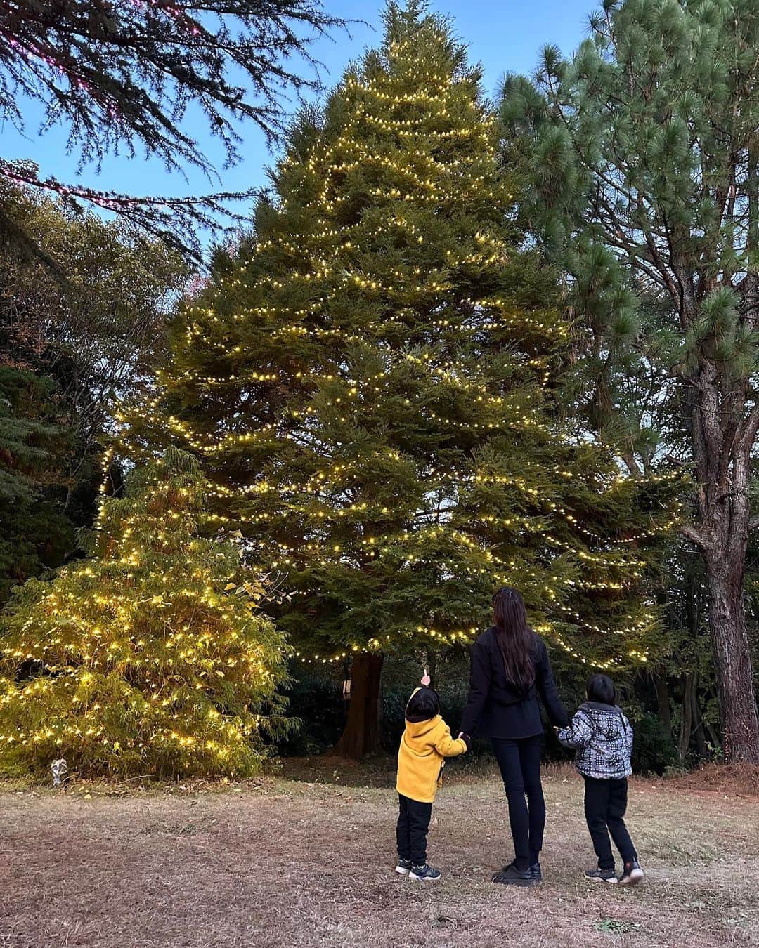 橋本奈実のインスタグラム：「お休みいかがお過ごしですか？✨ 我が家は、祝日と合わせて、4連休！関西から母が来ていて、お義母さんとみんなで、埼玉にある森林公園に行きました🍁✨ お弁当作って行き(夫がw)昼間は子供たちを思いっきりアスレチックで遊ばせ、夜は紅葉のライトアップ✨ すごく素敵でした🥰子連れもおすすめ‼️ ただ、渋滞がやばすぎて、やばすぎて…😂🚗 でも、母もお義母さんもずっと腕を組んで、お揃いのマフラーまで付けて、楽しそうで何よりでした🧣💝 今日から激寒なので、皆さま体調崩さないよう気をつけてくださいね⛄️」