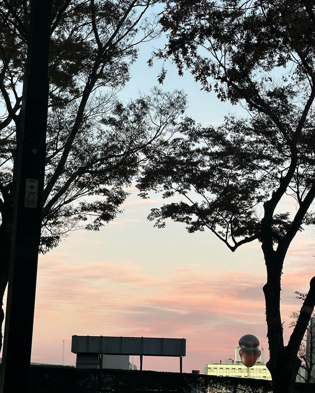 mizukiさんのインスタグラム写真 - (mizukiInstagram)「最近のもらって嬉しかったものやお気に入りのネイル。綺麗な夕空❄️🕯️🌼」11月25日 18時46分 - mizukidrop