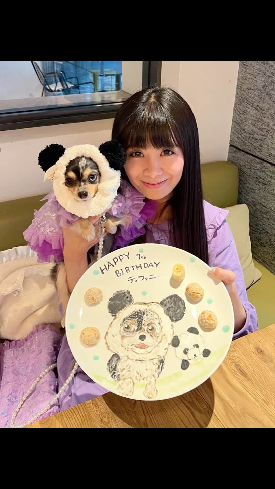 外村美姫のインスタグラム：「愛娘の誕生日です。 11月26日(日)7歳になります。 HAPPY BIRTHDAY TIFFANY!!  マイファミリー、@aneacafe_hatchobori さんでお祝い。普段はあまり動かないティファニーですが。珍しくそわそわ、とっても嬉しそうな表情で、つくねを美味しそうにパクパク。  @udonomayunosuke8 ちゃんのお祝いアートプレート。とっても可愛く描いて頂きました。つくねが水玉になってる!!カフェラテアートでもお祝い出来て、ママは感激で泣きそうでした。  @aneakira さんにも、スタッフ様にも席に来て頂いて、ティファニーもとってもHAPPY。本当に最高だった。有難うございました。  わんこの7歳は人間でいうと54歳位。うそん、信じられないですが、毎日健康で一緒にHAPPYに過ごせたら、私の人生はもう最高。ティファニーさん、ゆっくり年をとって、長く一緒にいてね。 . #外村美姫 #チワックスティファニー #ティファニーと朝食を #誕生日会 #誕生日 #誕生日プレゼント #誕生日サプライズ #誕生日プレート #わんこ #11月26日生まれ #11月26日 #7歳 #犬 #犬のいる暮らし #犬バカ部 #チワックス #チワックス倶楽部 #チワックス部 #チワックスタグラム #ドッグカフェ #チワックス党 #HAPPYBIRTHDAY #オッドアイ #11月生まれ #わんこのいる生活 #カフェ #カフェ巡り #カフェランチ #わんことお出かけ #親子コーデ」