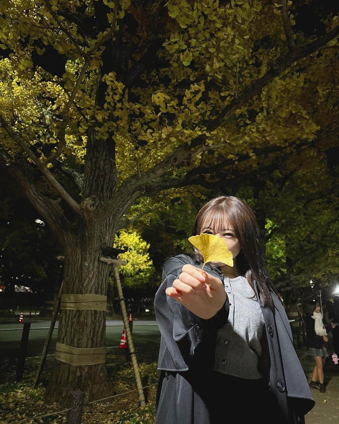 武田智加さんのインスタグラム写真 - (武田智加Instagram)「この間お仕事帰りにいちょう並木ふらーっとお散歩したの🌙  やっと紅葉と思ったのにもう冬だね🥺  #いちょう並木 #神宮外苑いちょう並木」11月25日 19時29分 - moka0225_hkt