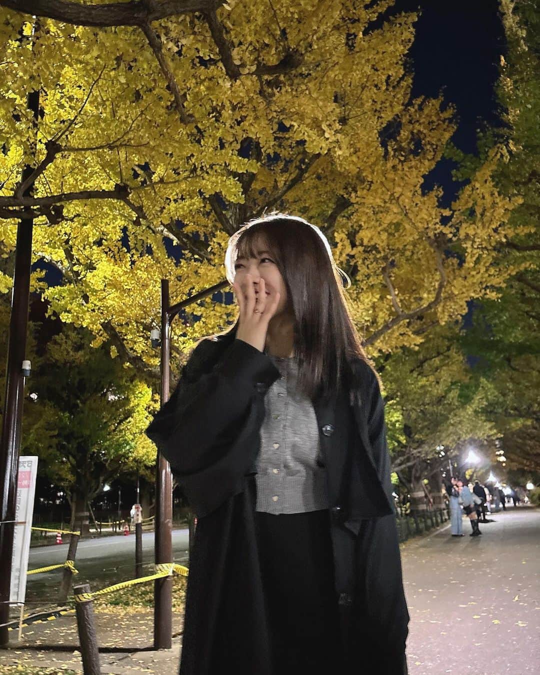 武田智加のインスタグラム：「この間お仕事帰りにいちょう並木ふらーっとお散歩したの🌙  やっと紅葉と思ったのにもう冬だね🥺  #いちょう並木 #神宮外苑いちょう並木」