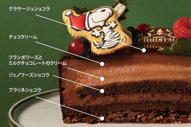 ピーナッツ カフェさんのインスタグラム写真 - (ピーナッツ カフェInstagram)「new | PEANUTS Cafe オンラインショップ  \ HAPPY HOLIDAYS！ / PEANUTSファン必⾒！毎年恒例PEANUTS Cafeのクリスマスケーキ！  今年は、チョコレートケーキをベースに、リースをイメージしたシックで大人なデザインに仕上げました。    □CHRISTMAS ケーキ 2023　 ￥6,156(tax in)   ふんわりとした食感のショコラジェノワーズ、ミルクチョコレートとフランボワーズを合わせたクリームに赤い果実でほんのり甘酸っぱさをプラスしました。   シンプルながら、チョコレートの風味をしっかりと感じていただける仕上がりです。  ウッドストックのピックやチョコレートプレートがトッピング。  クリスマスを楽しむスヌーピーのアイシングクッキーやオーナメントはご自身でお好きな場所にデコレーションしてお楽しみいただけます。   ————————  ＜セット内容＞  アイシングクッキー 1個  クリスマスオーナメント(ヒイラギ １本/ウッドストックピック ２個) 缶バッジスタンド 1個  クリスマスペーパーランチョンマット 1枚  食べ方リーフレット　１枚  ロウソク 5本   ＜サイズ＞  12cm (2～4人分)   ＜予約開始日＞  11月21日(火)午前10:00〜  ※なくなり次第終了いたします。   ＜お届け期間＞  12月1日(金)〜12月25日(月)  ※お届け集中緩和のお願い※  お届け日が、12/23.24は集中するため、事前の受け取りをお願い致します。   ＜美味しくお召し上がりいただくために＞  お皿に移してから冷蔵庫に6〜12時間入れてゆっくり解凍してください。  ※解凍後、48時間以内にお召し上がりください。  ※商品は冷凍便(クール便)でのお届けです。   ————————  家族や大切な人との特別な日は、スヌーピーとウッドストックのクリスマスケーキで素敵なひと時をお過ごしください。   -販売店舗  PEANUTS Cafe オンラインショップ  ※商品は冷凍便(クール便)でのお届けです。  ※なくなり次第終了いたします。  詳しくは、@peanutscafe_tokyo トップのリンクより、HPにてご確認ください。」11月25日 19時38分 - peanutscafe_tokyo