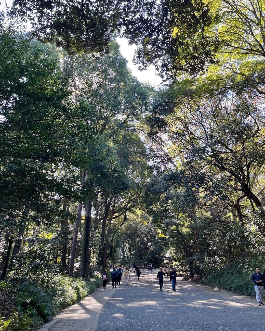 とくさきさんのインスタグラム写真 - (とくさきInstagram)「約2年ぶりくらいの明治神宮⛩💕 すごく快晴で最高の天気の中、参拝できました✨😌 なんか日本人よりも外国の人の方が多くて、ここ日本だっけ？🤔って一瞬なった！笑 . 娘っちにとっては初めての明治神宮でした🥰 次は自分の足で歩けるようになったタイミングくらいで行こうかな👶❤️ . #明治神宮#参拝#女の子ママ#0歳児ママ#ママゴルファー#ゴルフ女子#golfgirl」11月25日 19時43分 - tokusaki_golf