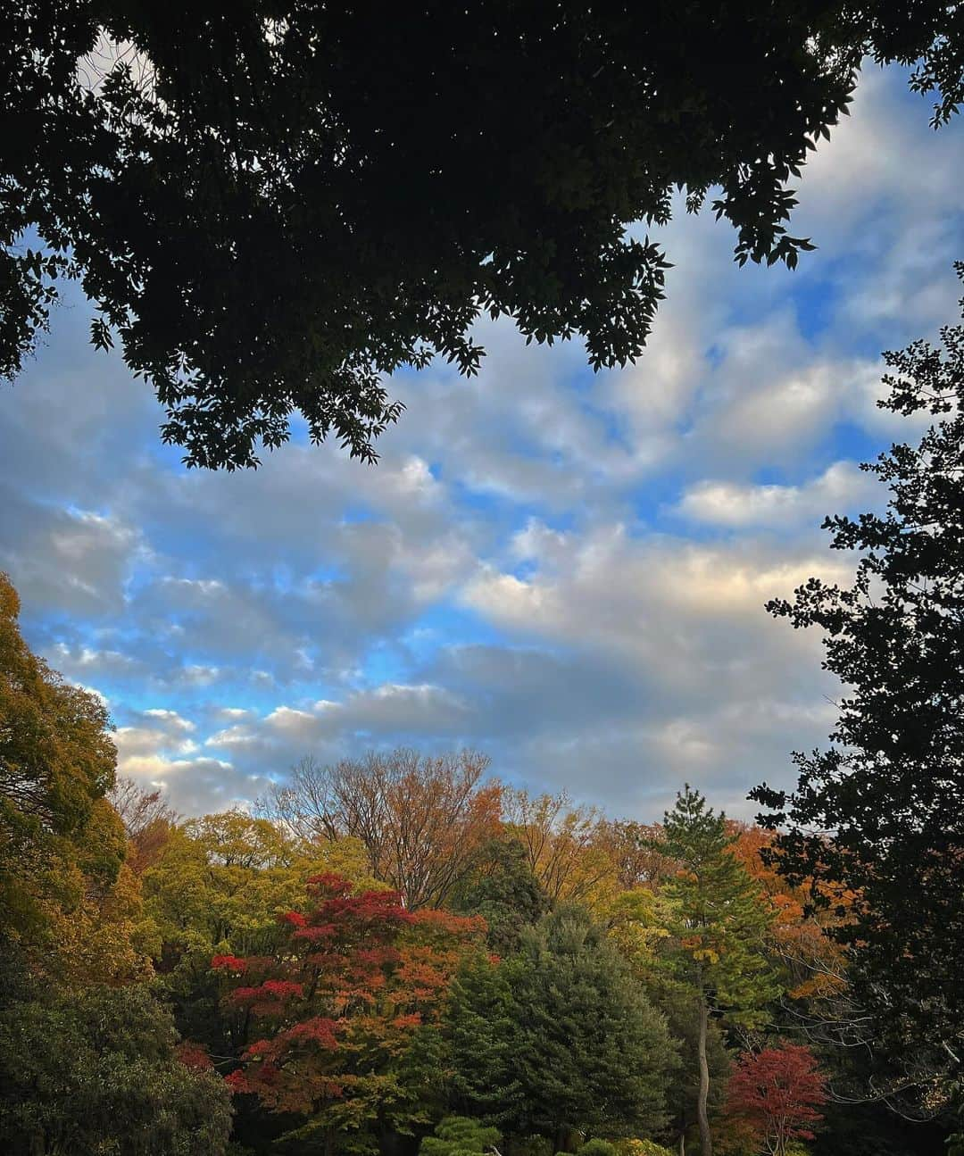 中村アンのインスタグラム：「🍂🍃❄️🪿⛅️」