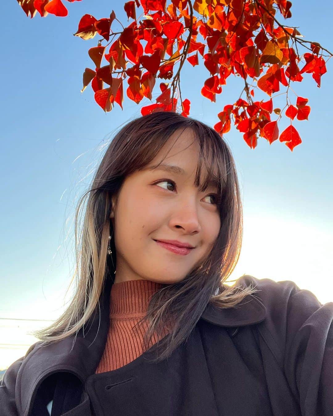 海老沢恵莉香さんのインスタグラム写真 - (海老沢恵莉香Instagram)「Daunnya malu sama aku makanya jadi merah🍂」11月25日 19時56分 - erika_ebisawa