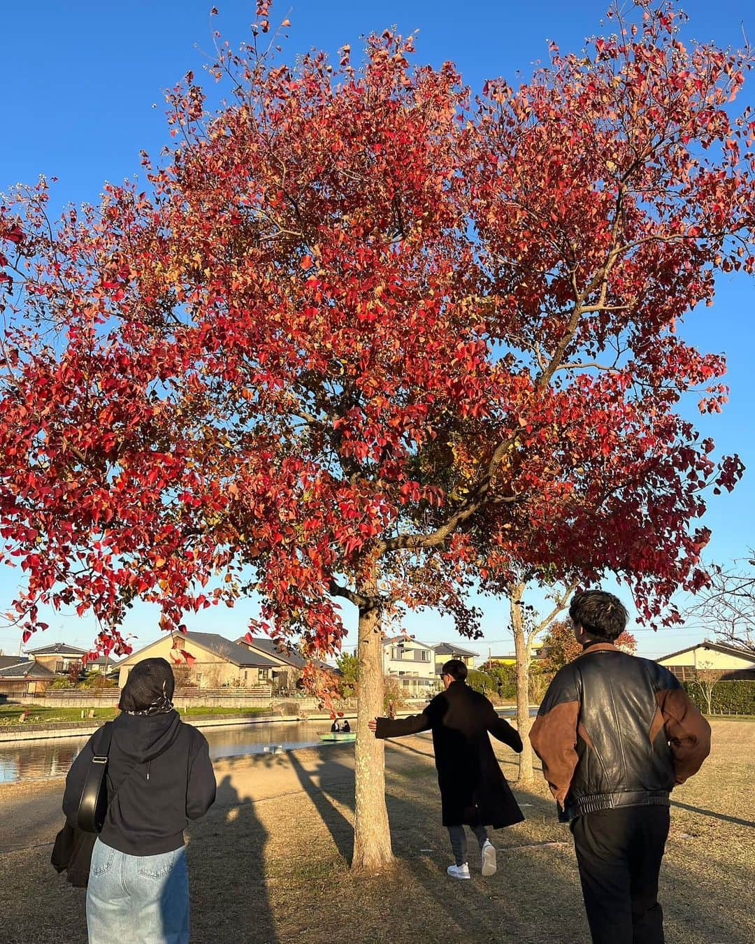 海老沢恵莉香さんのインスタグラム写真 - (海老沢恵莉香Instagram)「Daunnya malu sama aku makanya jadi merah🍂」11月25日 19時56分 - erika_ebisawa