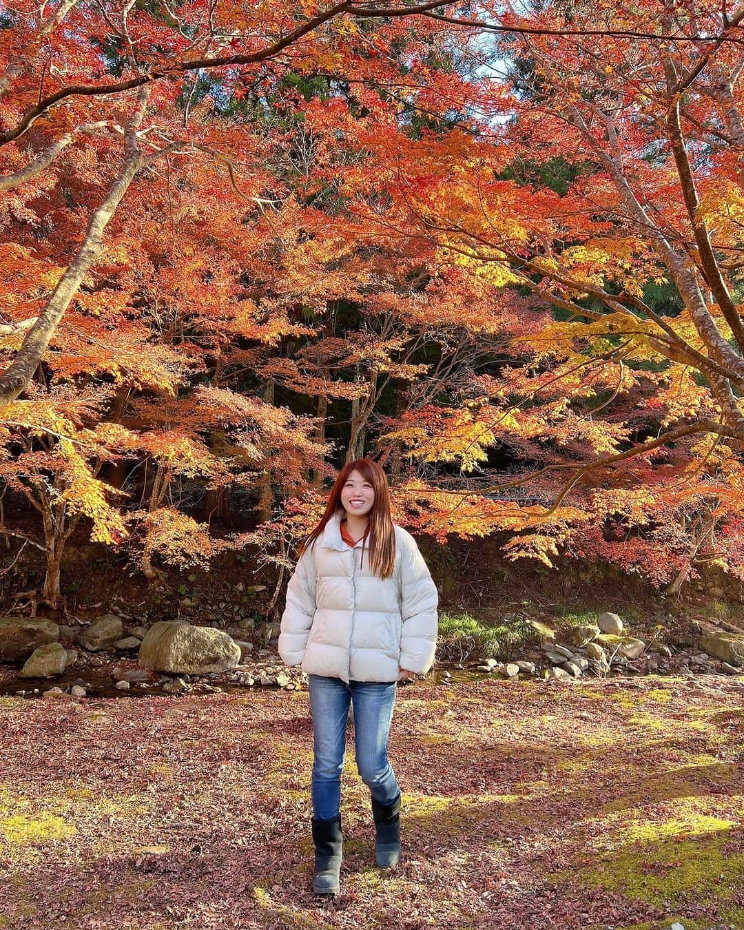 リナフランチェスカさんのインスタグラム写真 - (リナフランチェスカInstagram)「めちゃくちゃ美しかった…🍁⠜   紅葉狩りといえば、京都行っちゃう関西人。 人多くていい写真撮れなかったりすること多いんだけど…  山口県のここ、大寧寺 人も割と少なめで写真撮りやすかった✨️ しかも広くてめっちゃ綺麗でした😍 紅葉の名所みたい。    最後の写真は、アウディ運転した記念に📸笑 湯本温泉のところから #otozuレンタカー で借りれるよ🙌     山口県の写真色々あるからまた投稿します〜  #紅葉 #紅葉スポット #紅葉狩り #秋  #🍁 #大寧寺 #大寧寺の紅葉  #長門市 #長門市観光 #山口県 #山口県観光 #山口県観光スポット #amazingyamaguchi #nagatocity #traveljapan #japantrip #絶景スポット #日本の絶景 #おでかけスポット #山口県おでかけ」11月25日 19時57分 - rinachesca