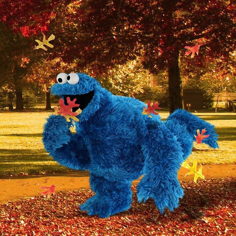 セサミストリートのインスタグラム：「秋の色ってお腹がすく〜！(#クッキーモンスター）」